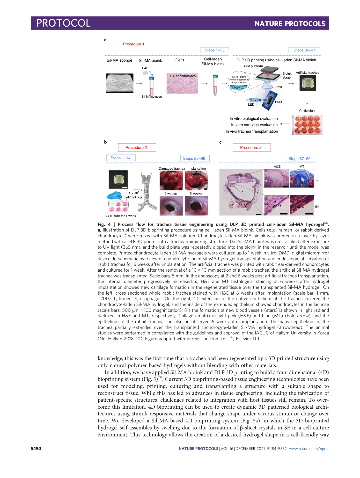 page-7
