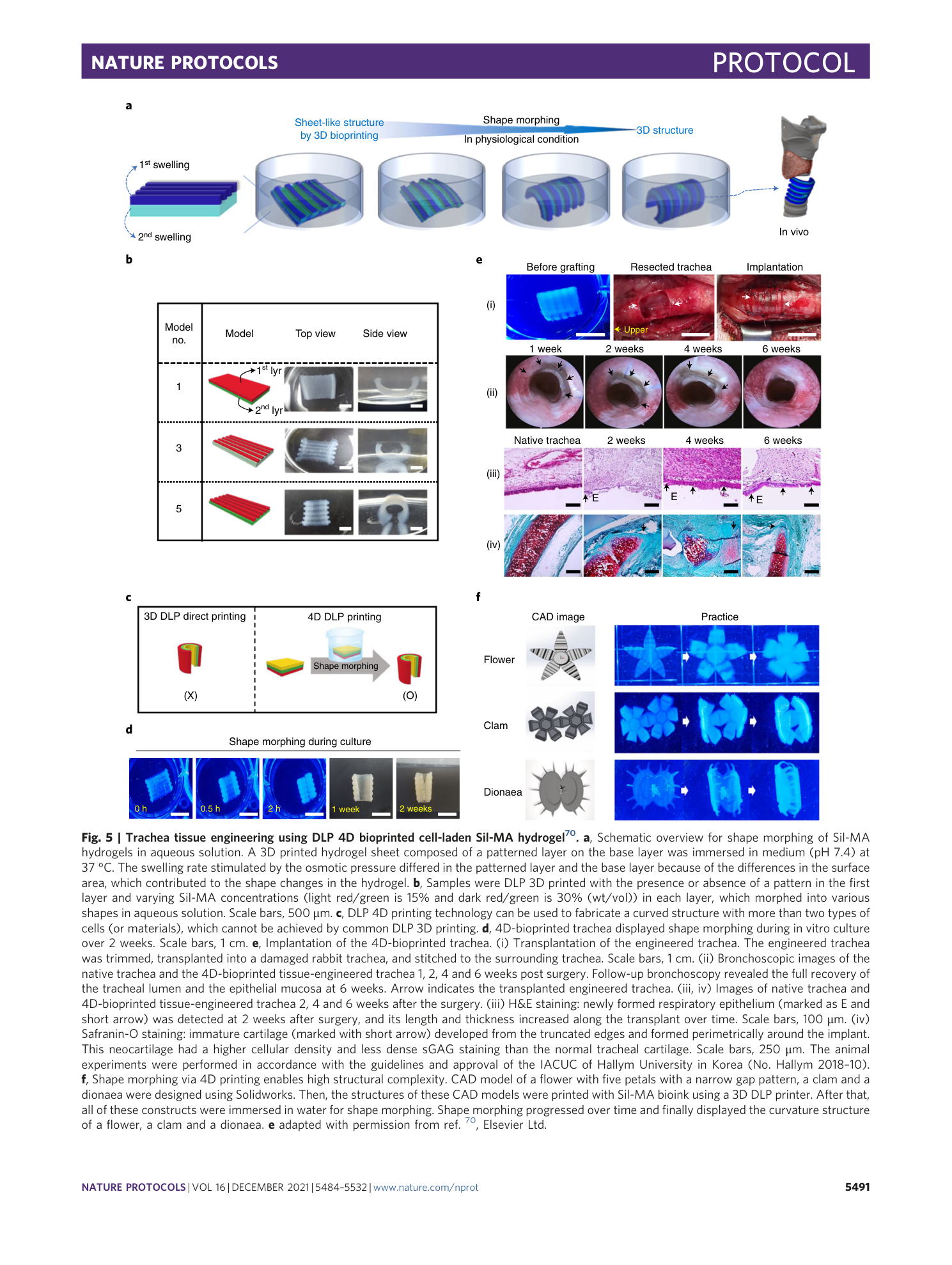 page-8