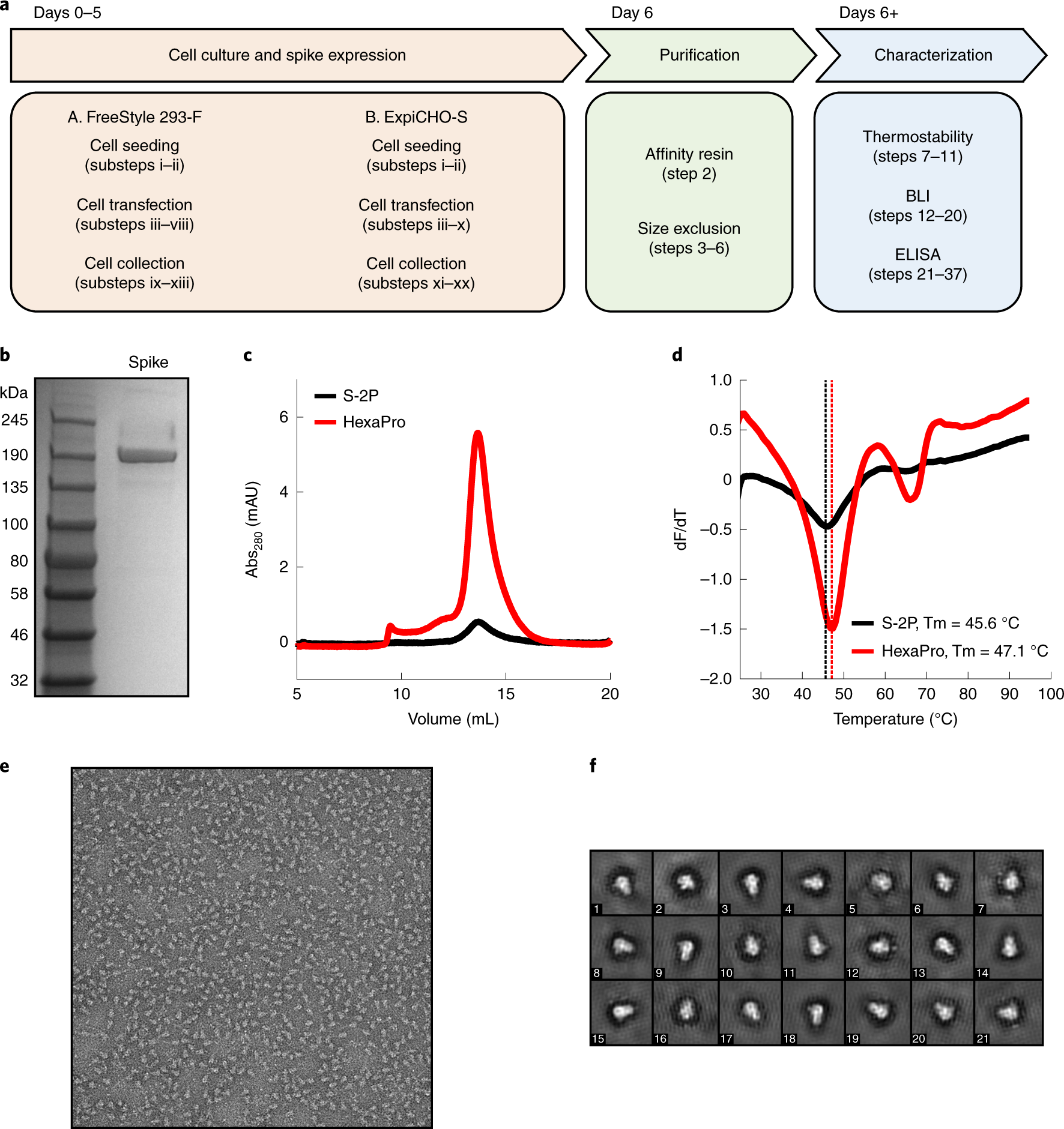 Fig. 2: Purification and characterization of the SARS-CoV-2 spike.