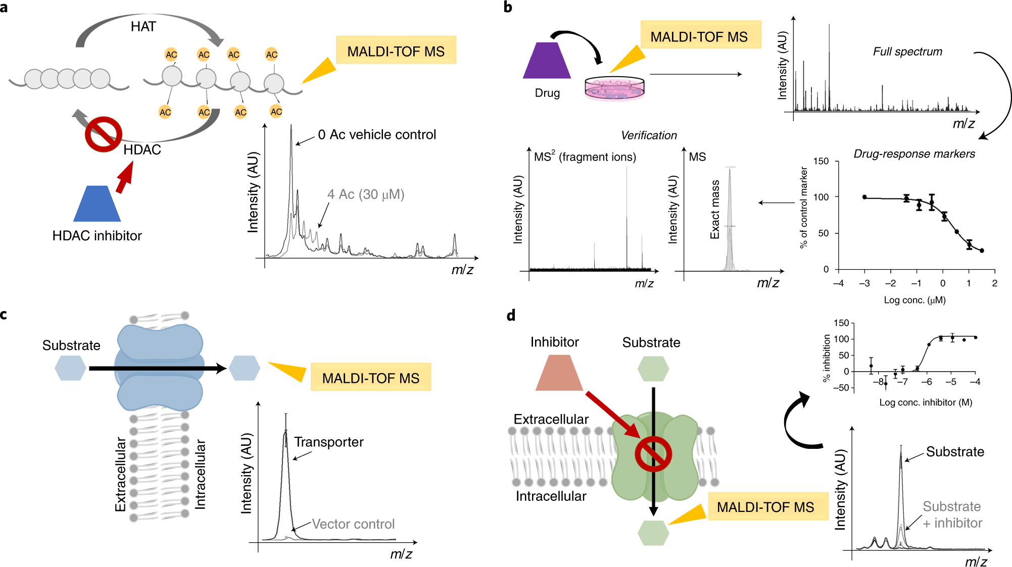 Fig. 1: Applications of cell-based MALDI-TOF MS assays.