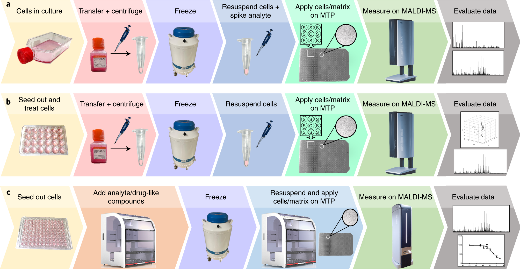Fig. 2: Schematic overview of the general label-free MALDI MS cell assay workflow.