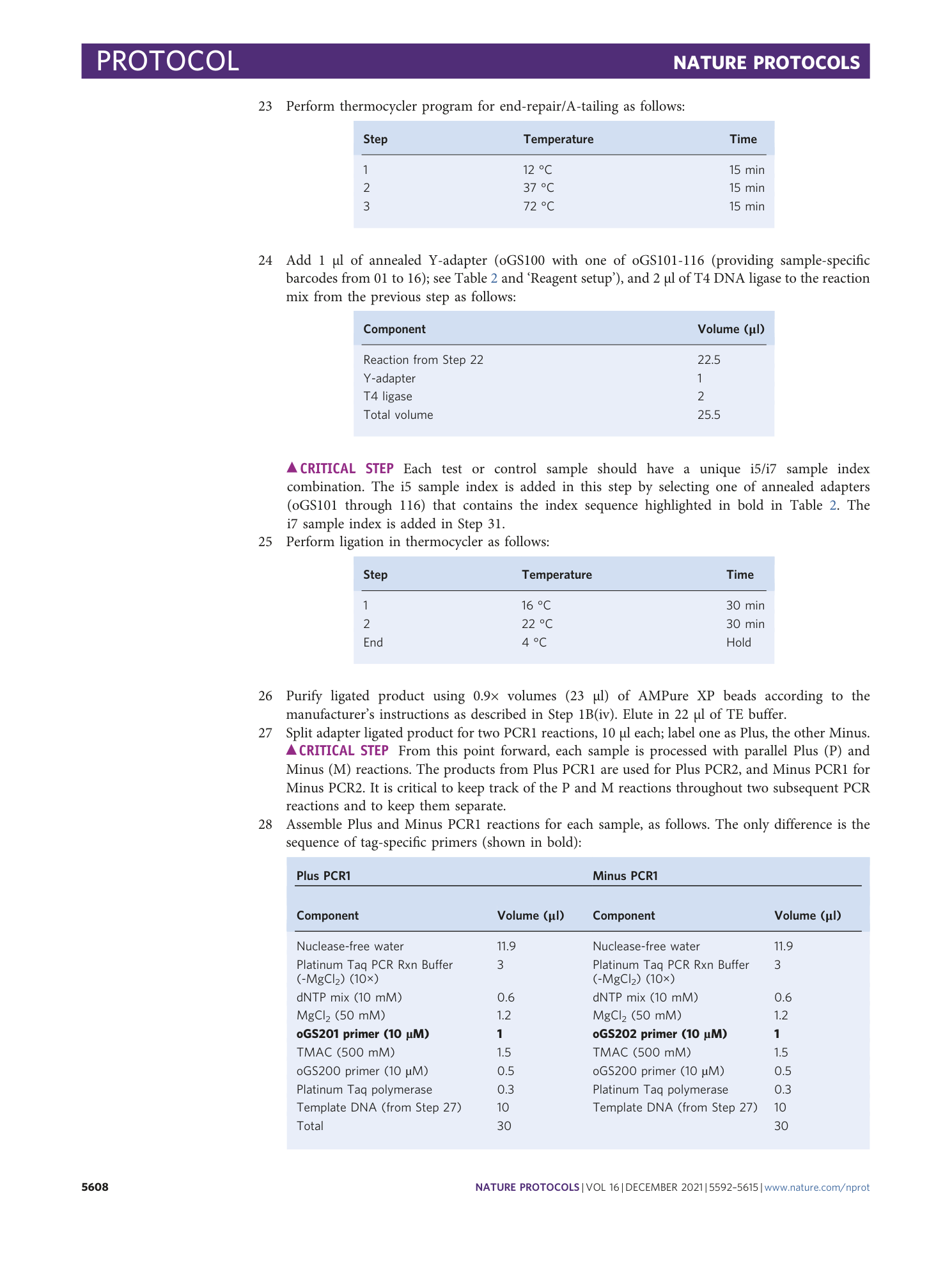 page-17