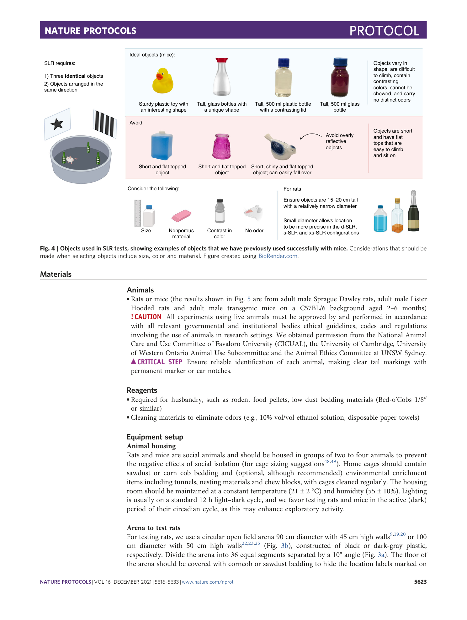 page-8