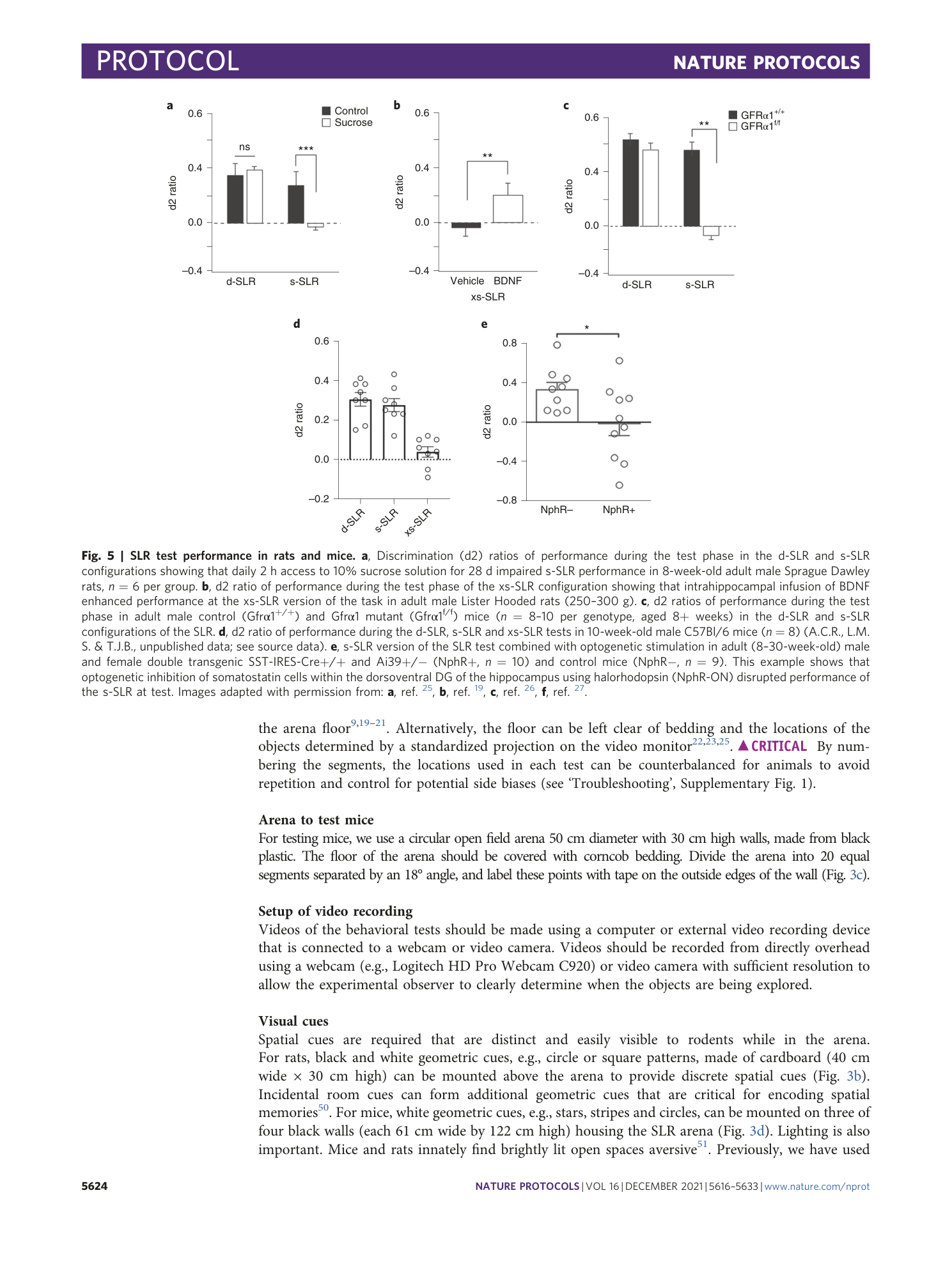 page-9