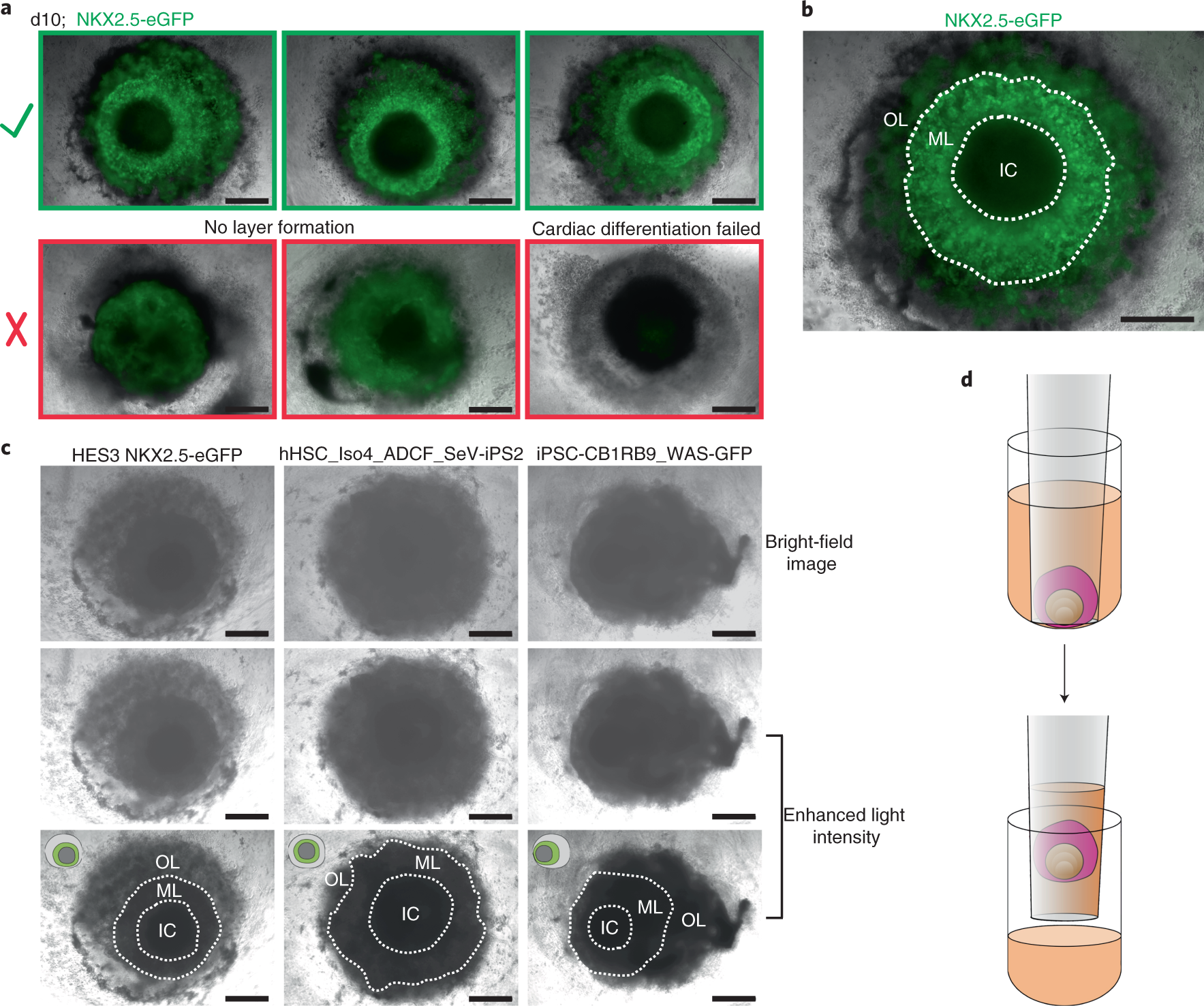 Fig. 6: Monitoring and collection of d10 HFOs.