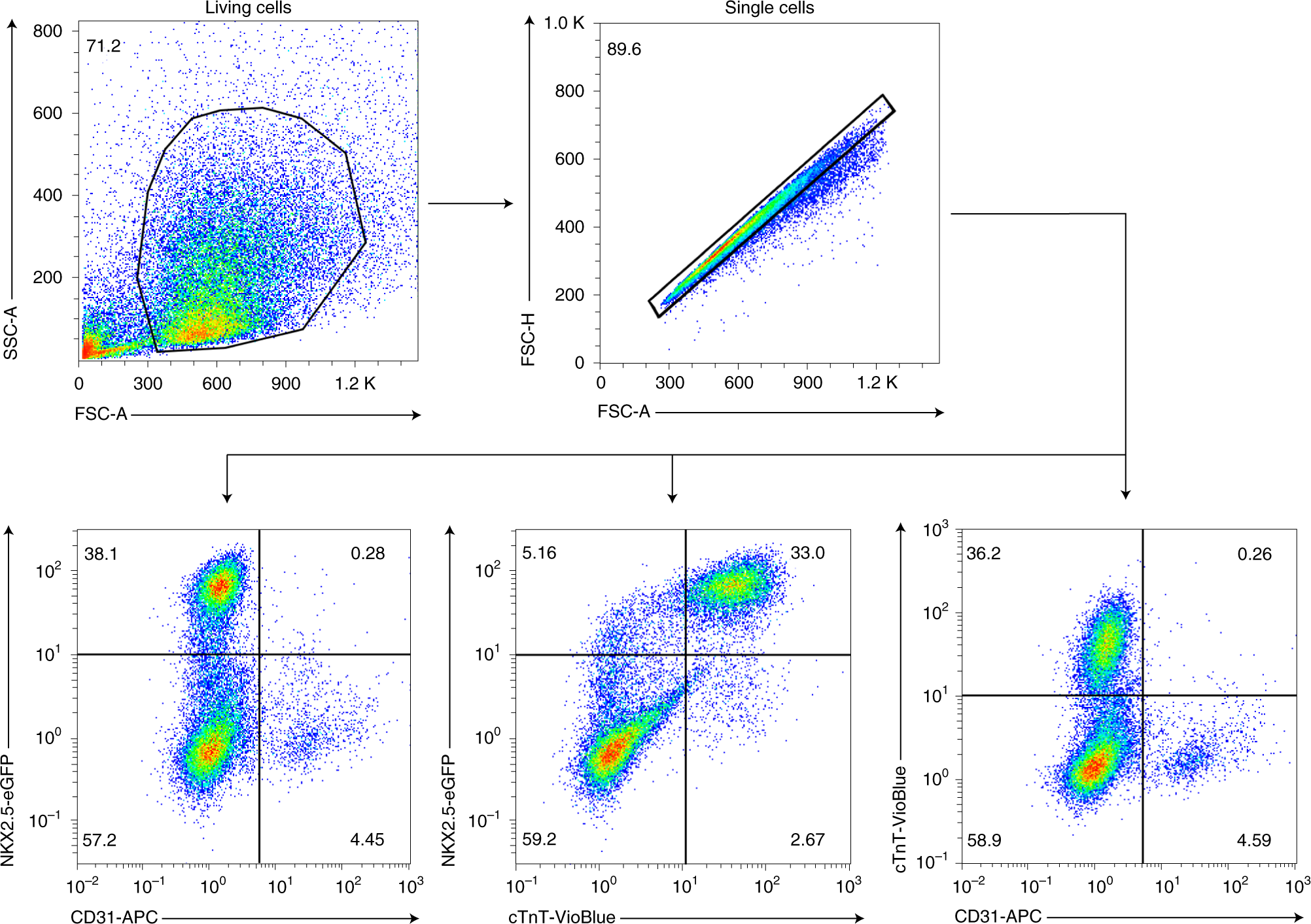 Fig. 8: Gating strategy for a flow cytometry analysis of an HFO.