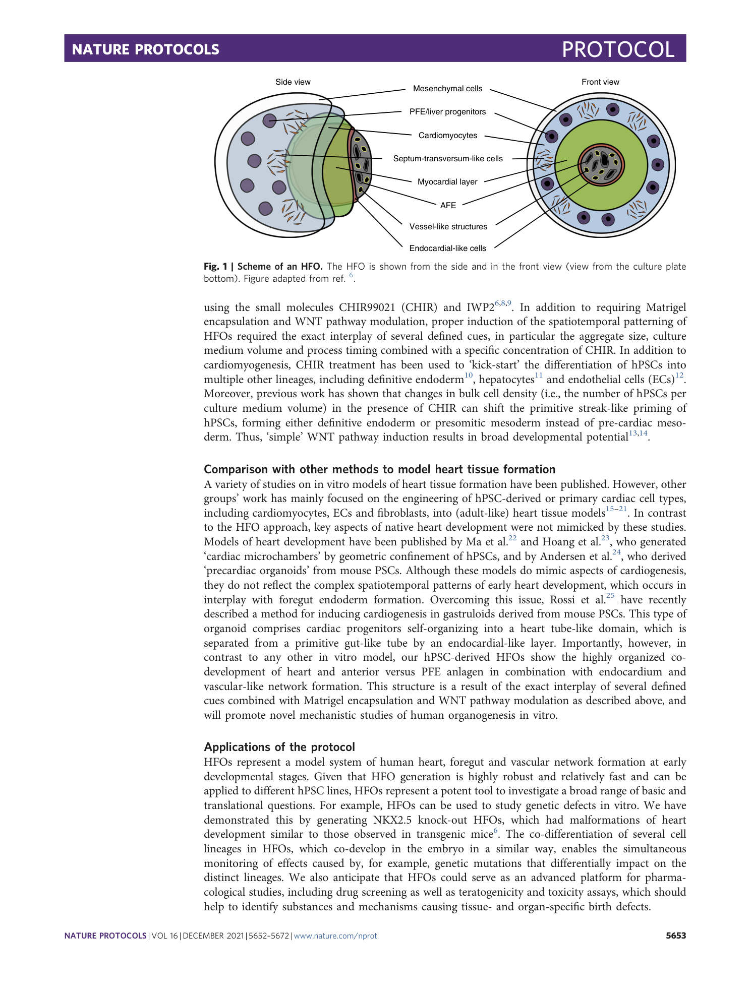 page-2