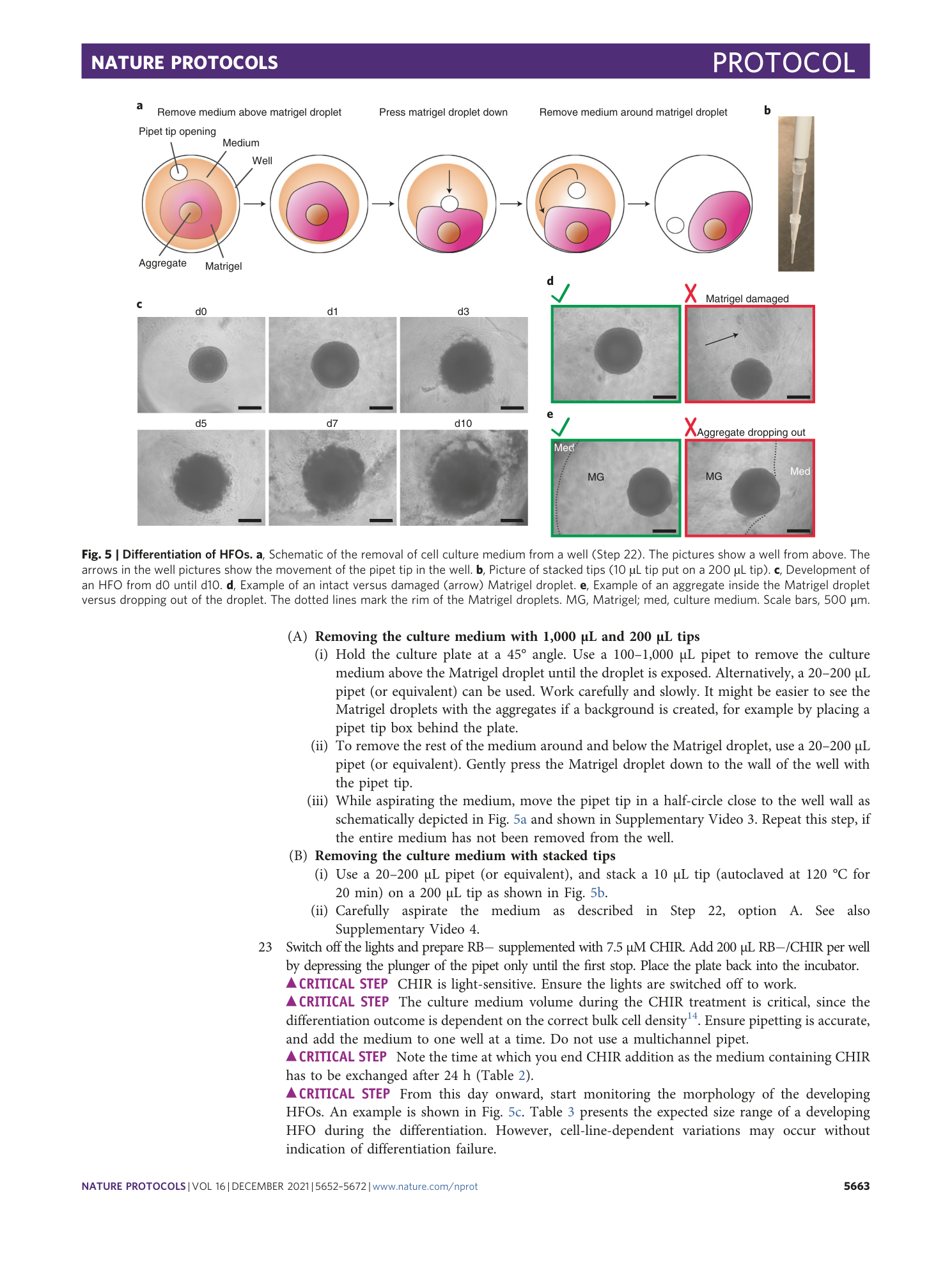 page-12
