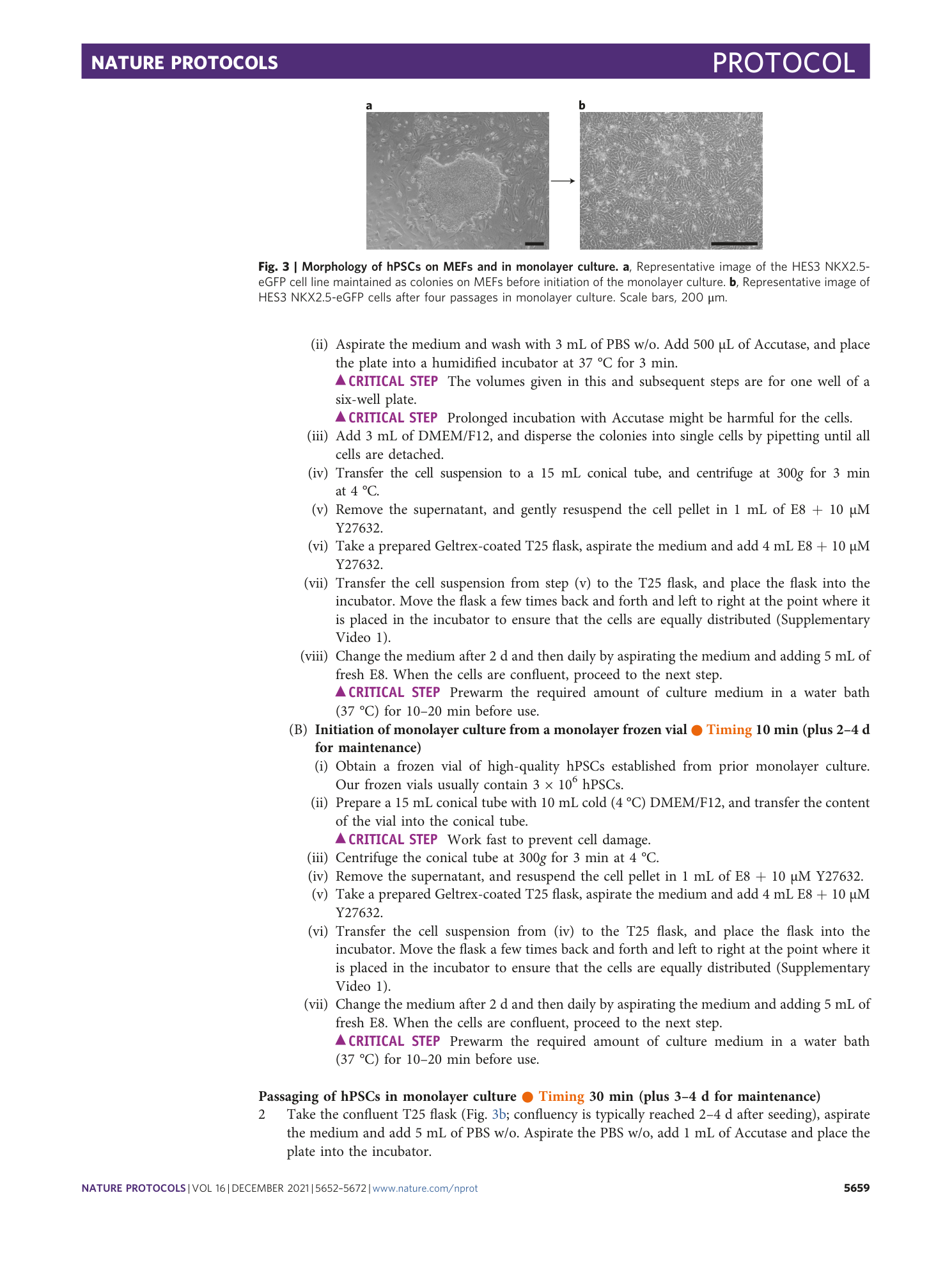 page-8