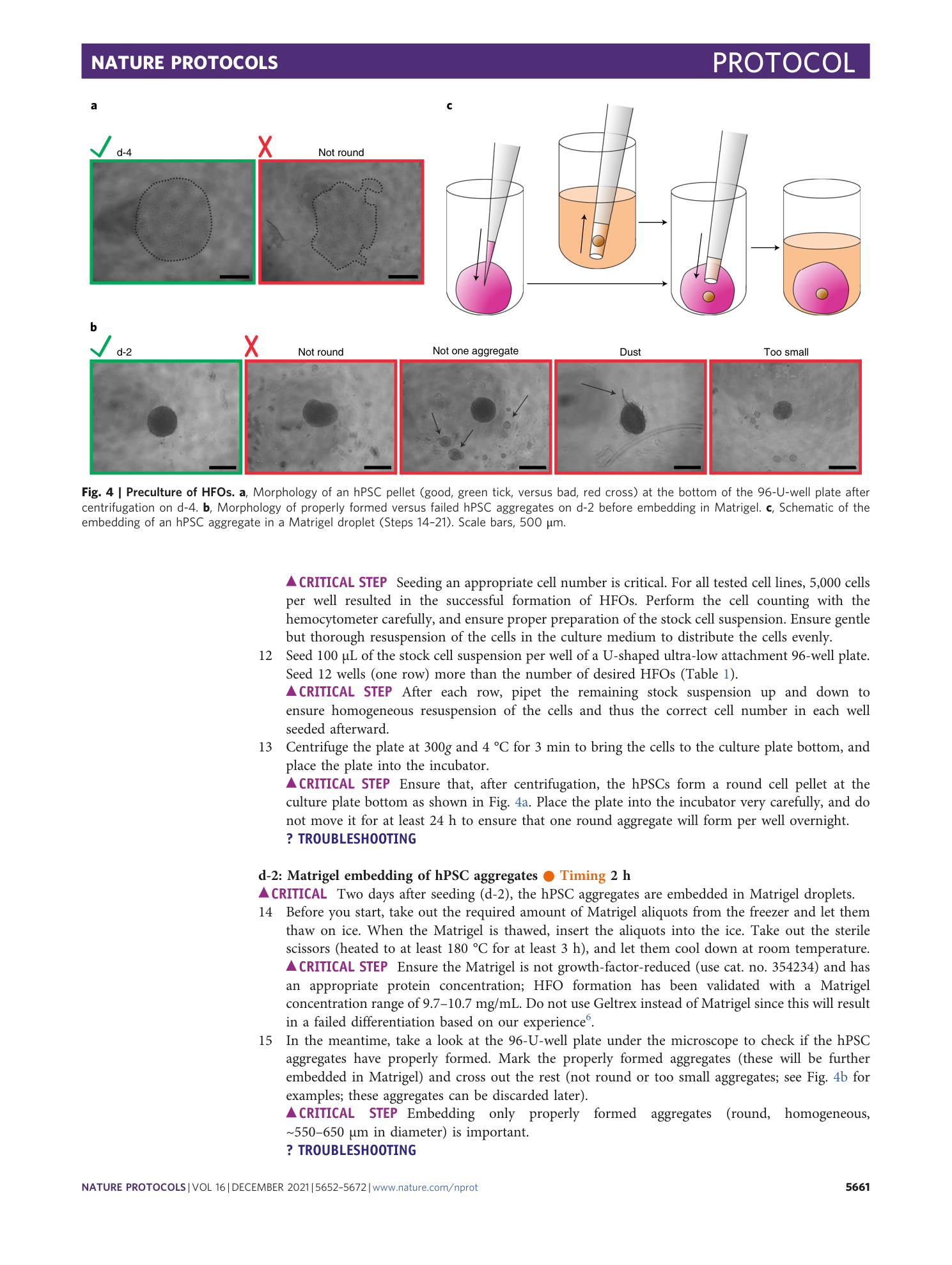page-10