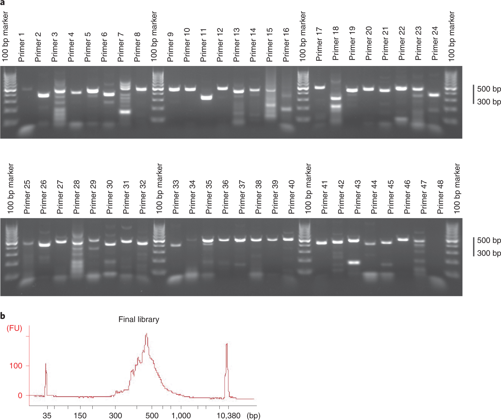 Fig. 9: QCs during the preparation of amplicon SMF samples.