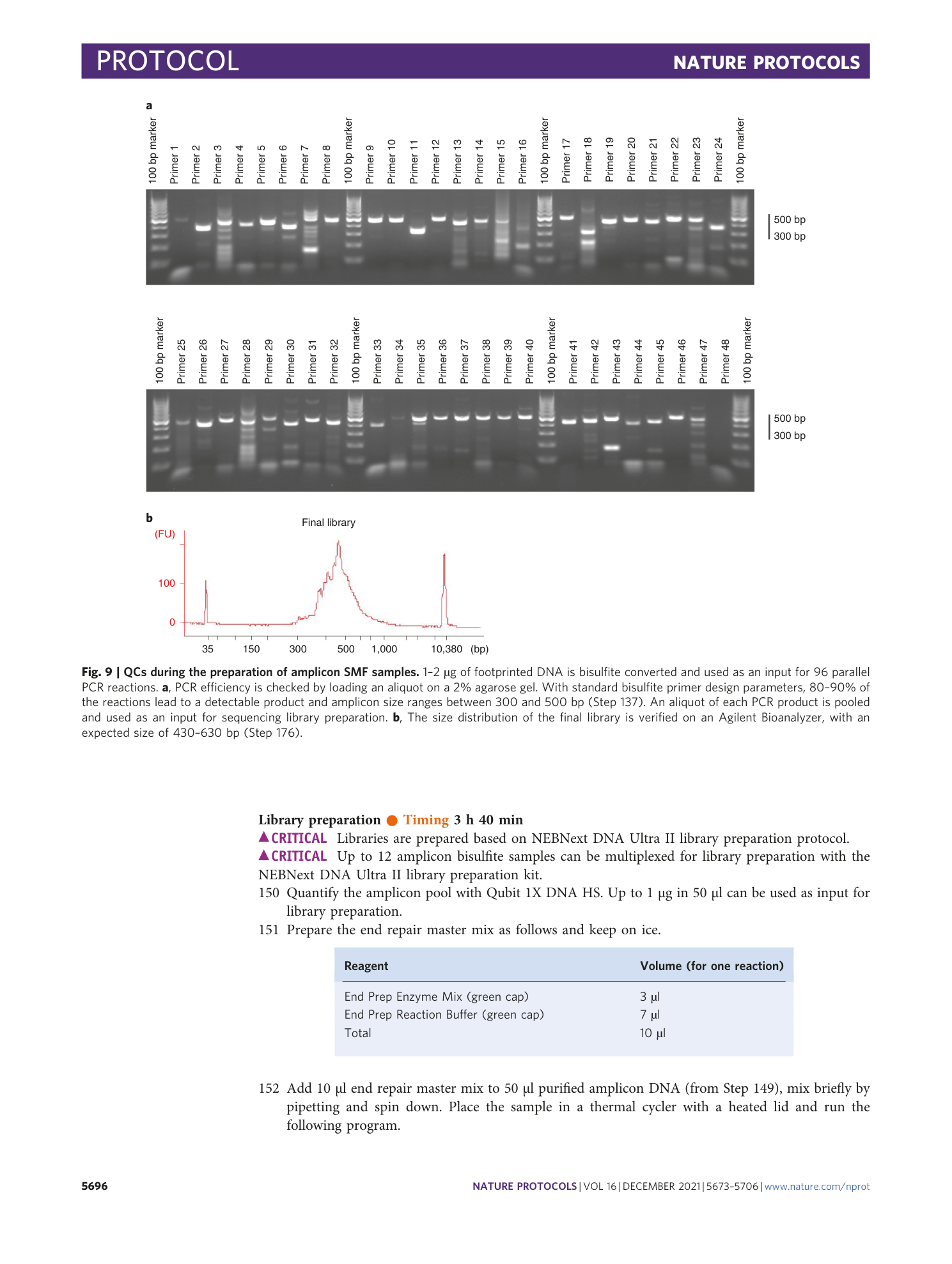 page-24