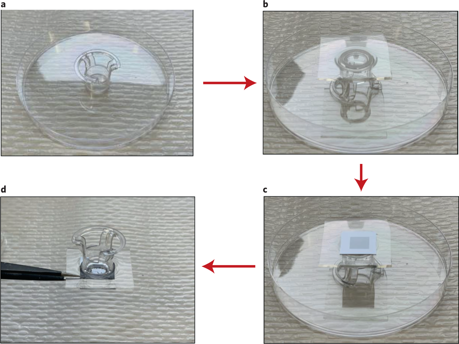 Fig. 10: Preparation of the reservoir-mounted chip (Steps 2–8).