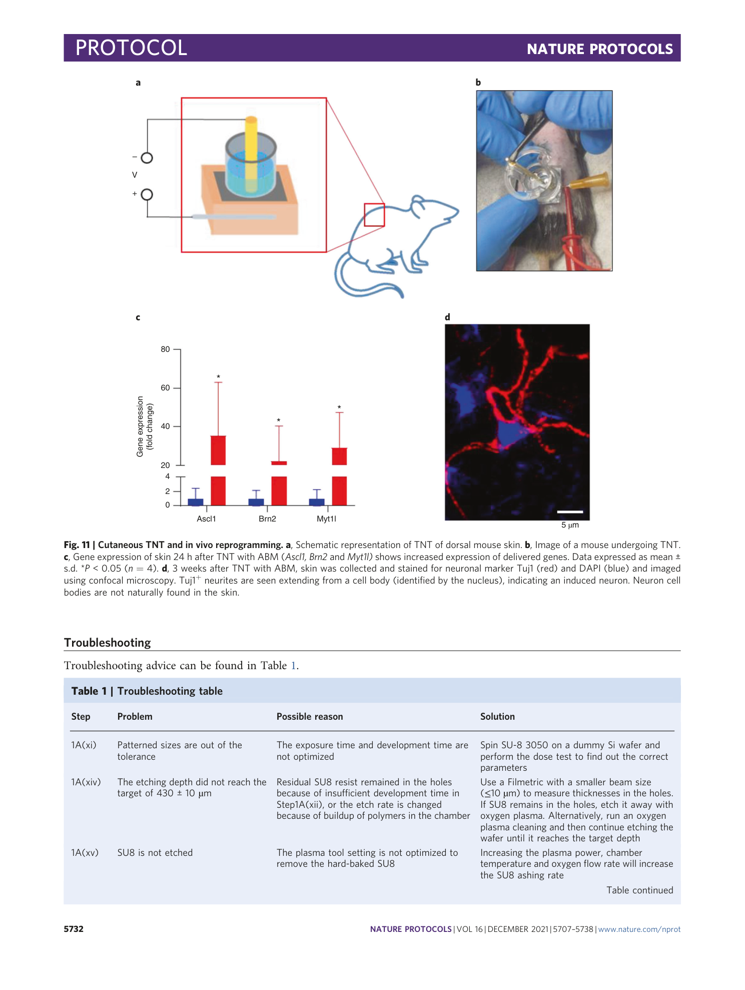 page-26