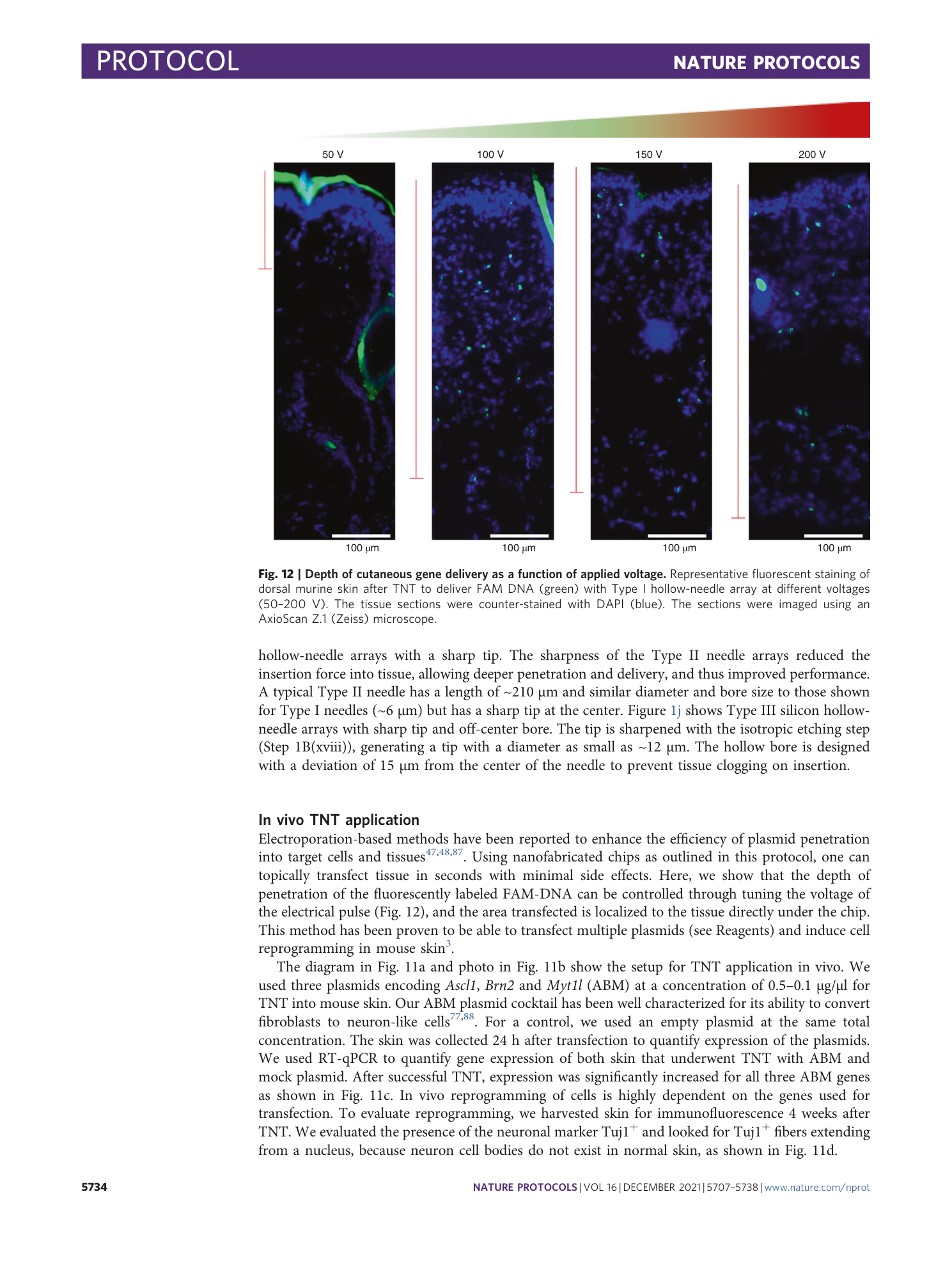 page-28