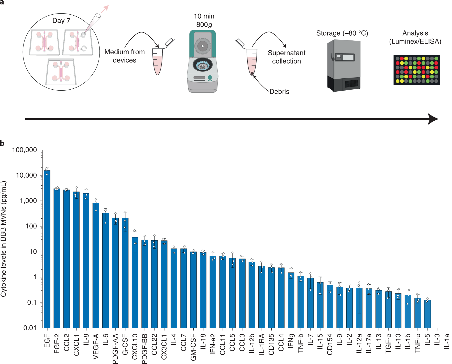 Fig. 15: Evaluating secreted cytokines in the BBB MVNs.