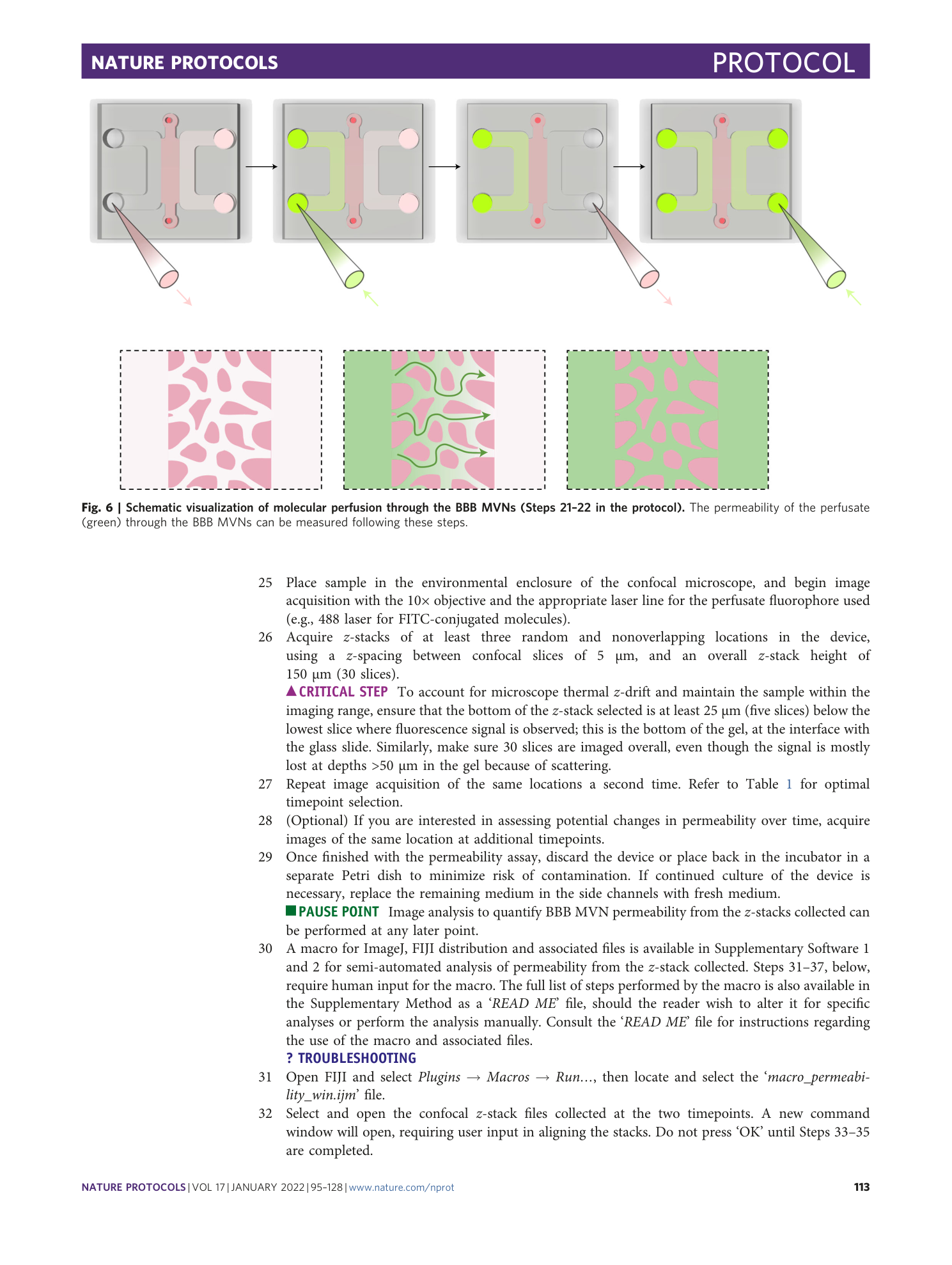 page-19
