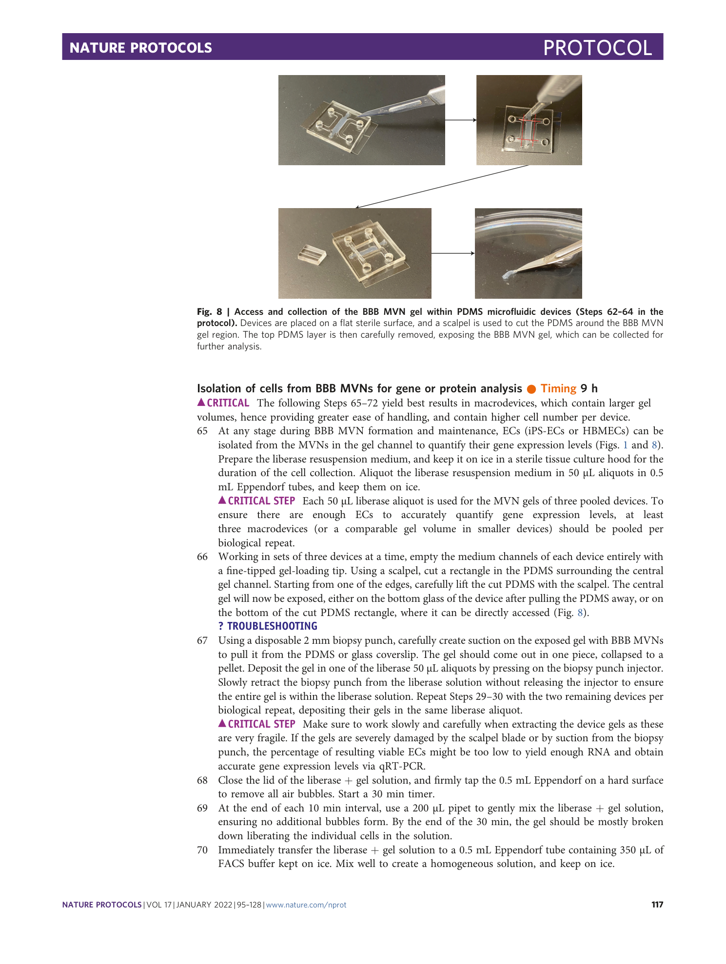 page-23