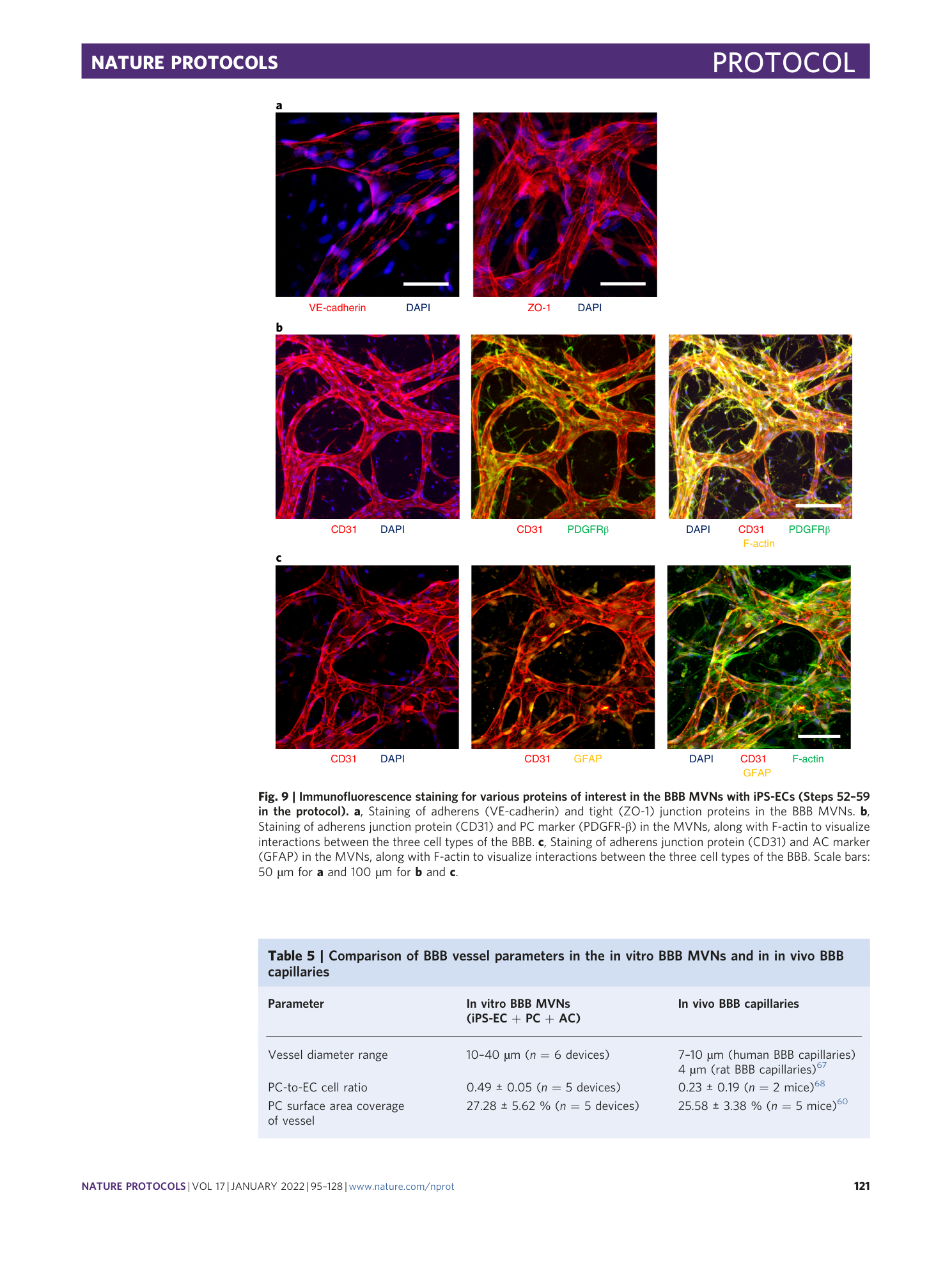 page-27
