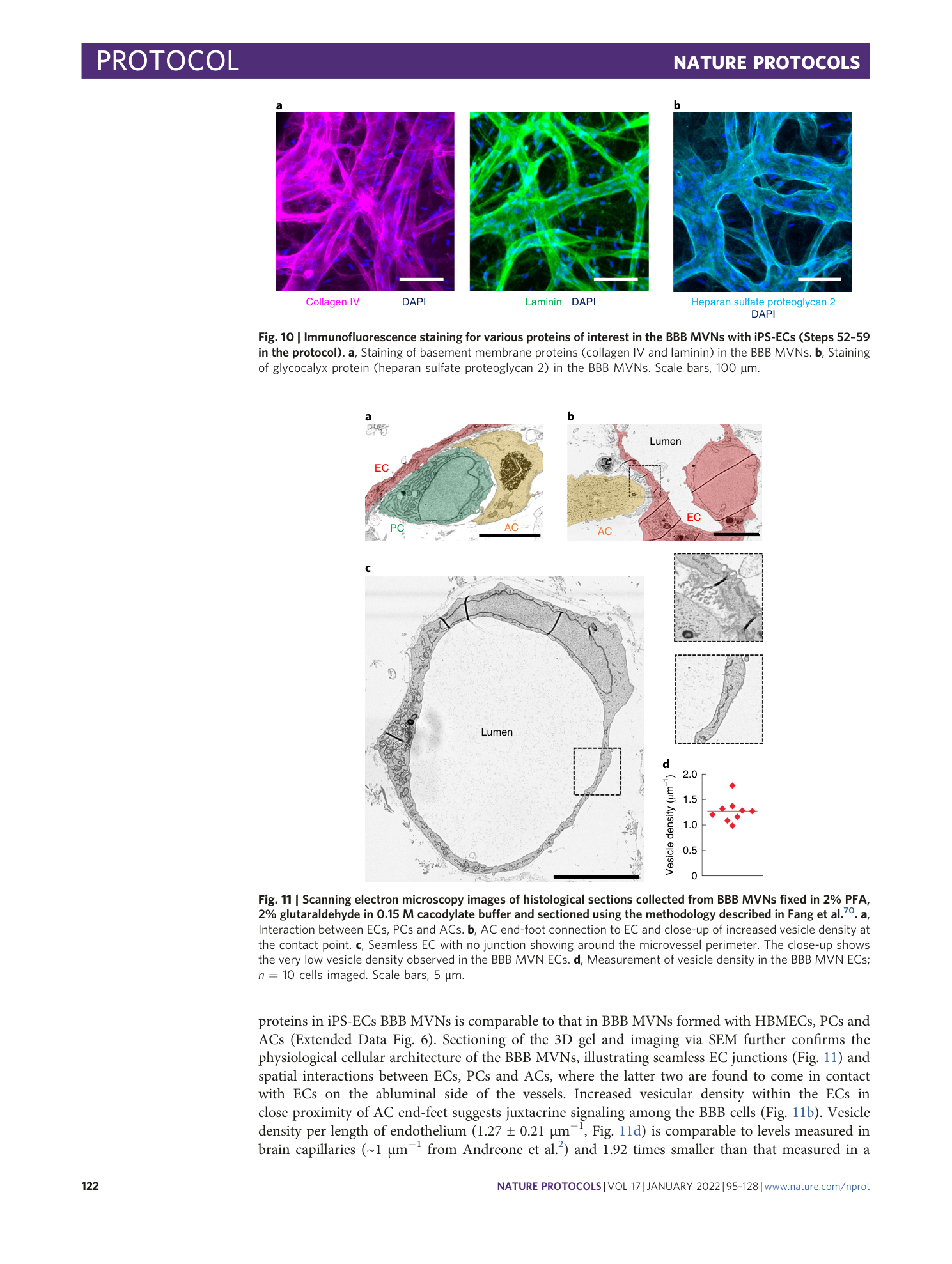 page-28