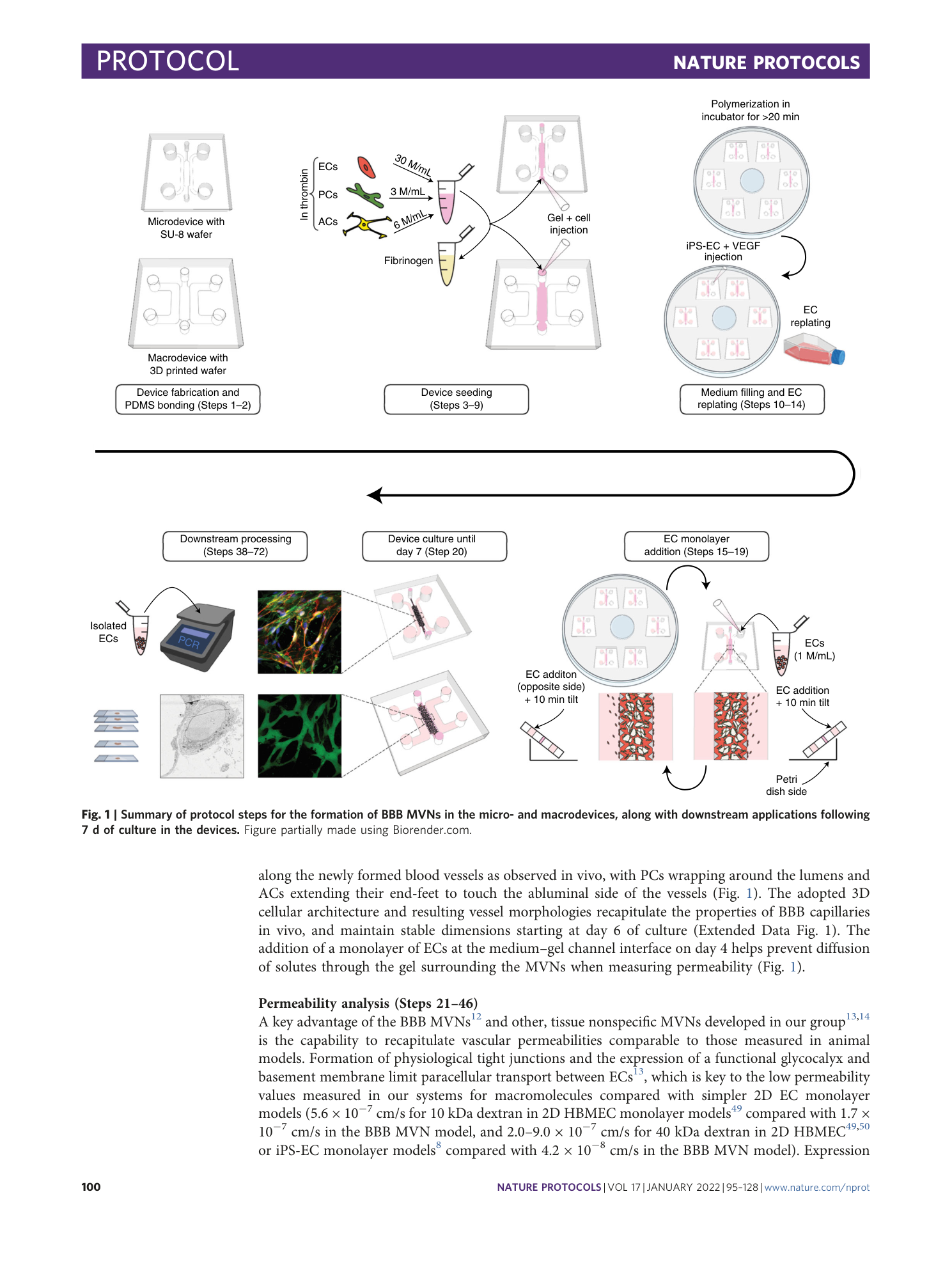 page-6