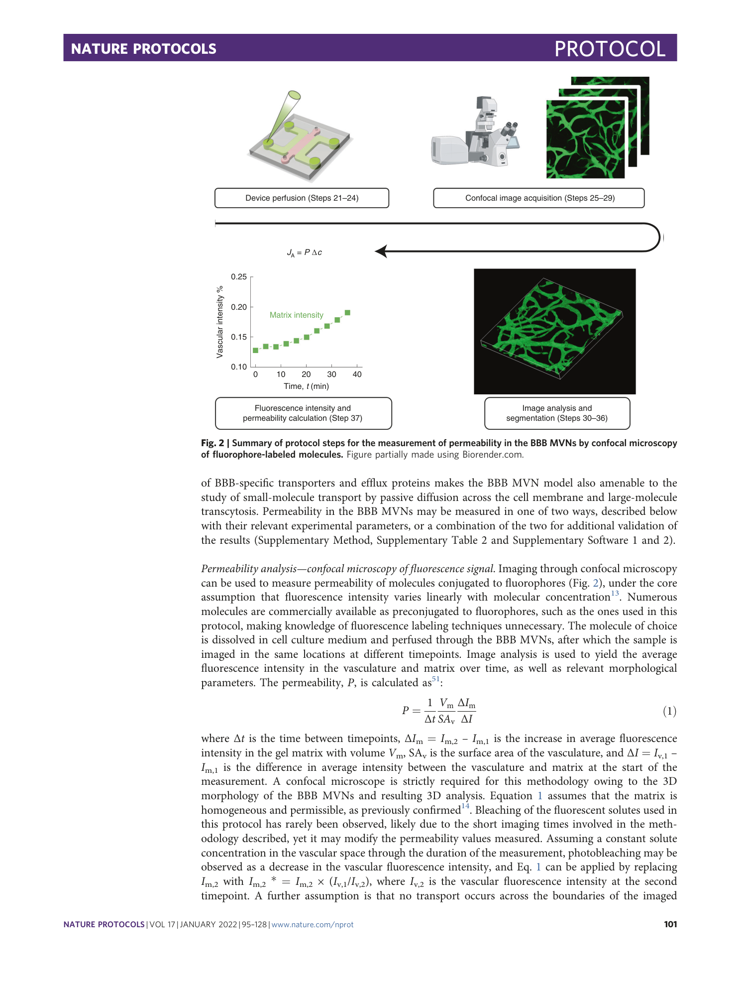 page-7