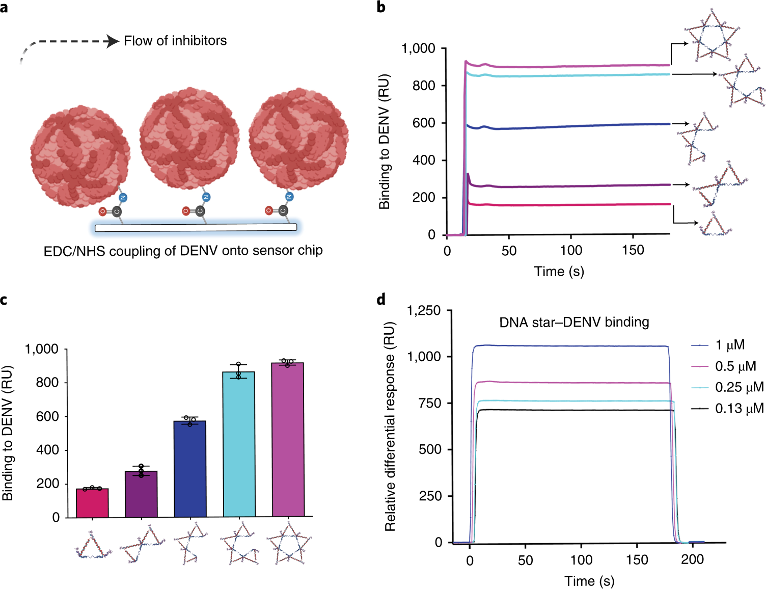 Fig. 11: SPR binding assays.