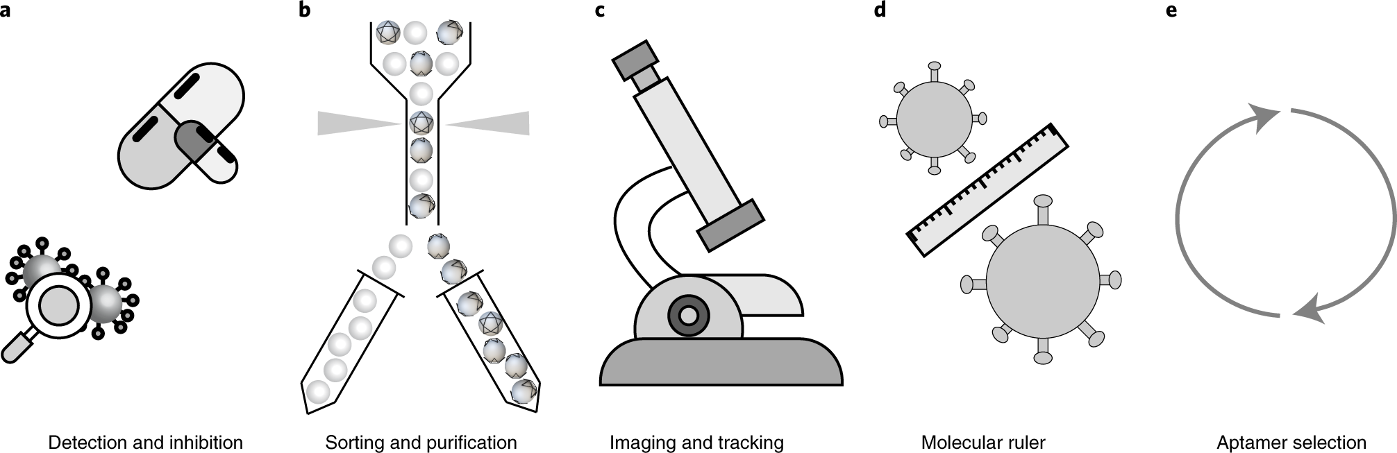 Fig. 1: Schematic of applications of the DNA star strategy.