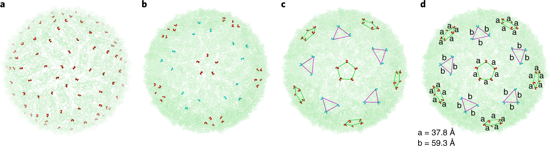 Fig. 4: Identification of DENV antigen spatial patterns.