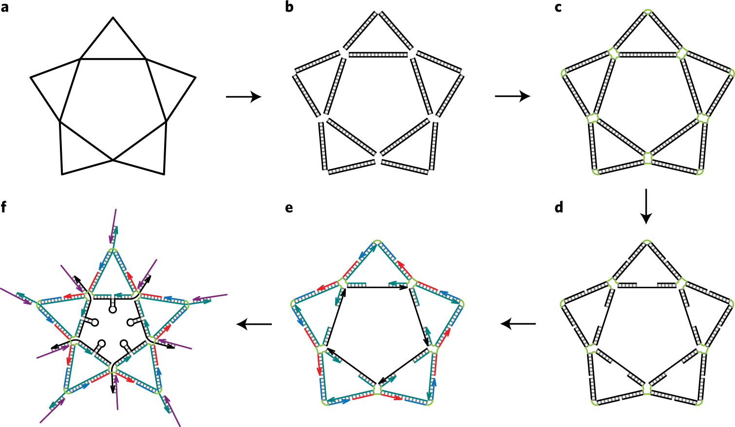 Fig. 6: Process flow diagram of the DNA star design.