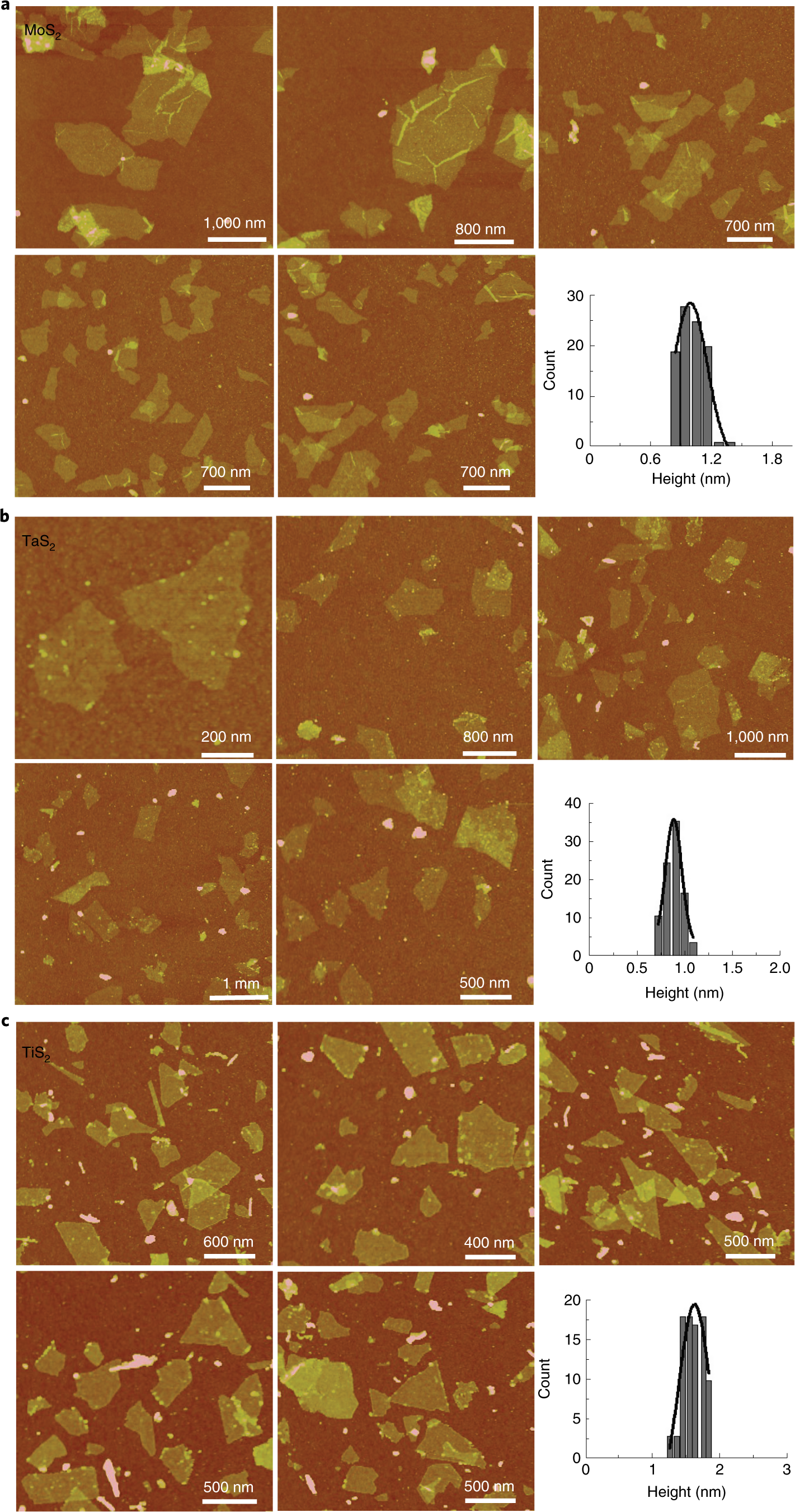Fig. 7: AFM images of large-area nanosheets.