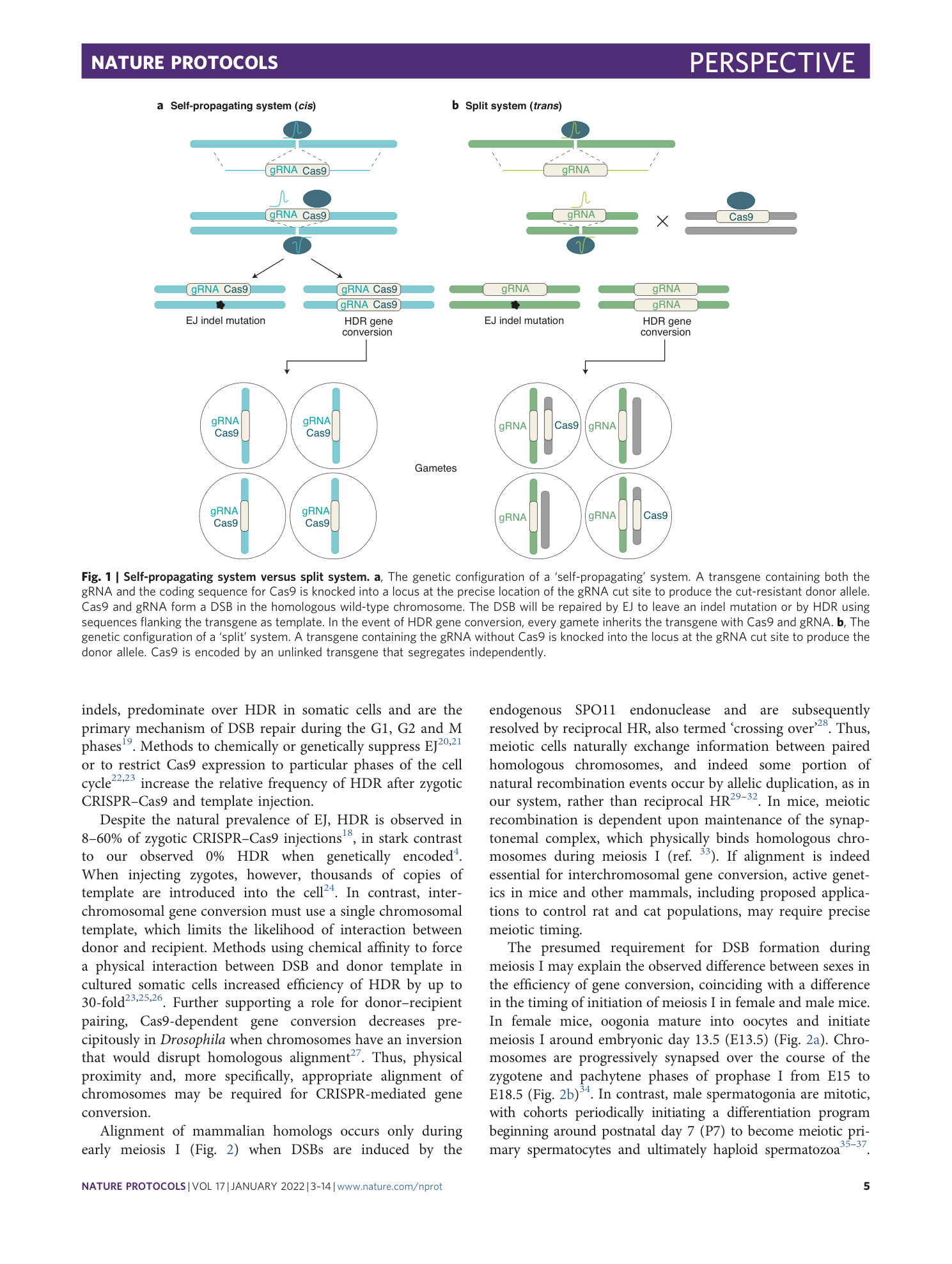 page-3