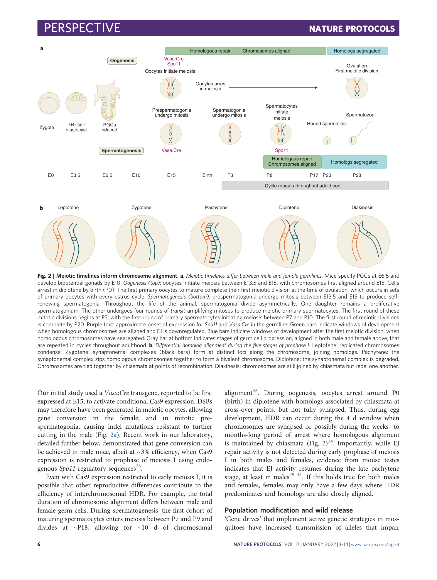 page-4
