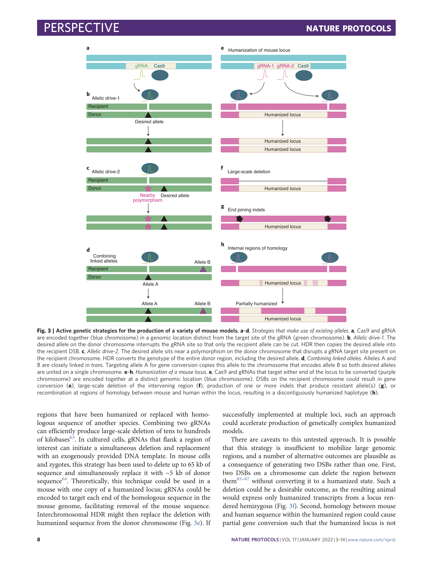page-6