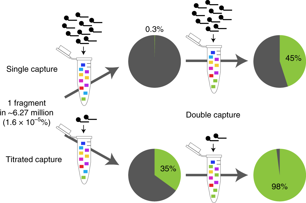 Fig. 4: Adaptations for high-specificity sequencing.