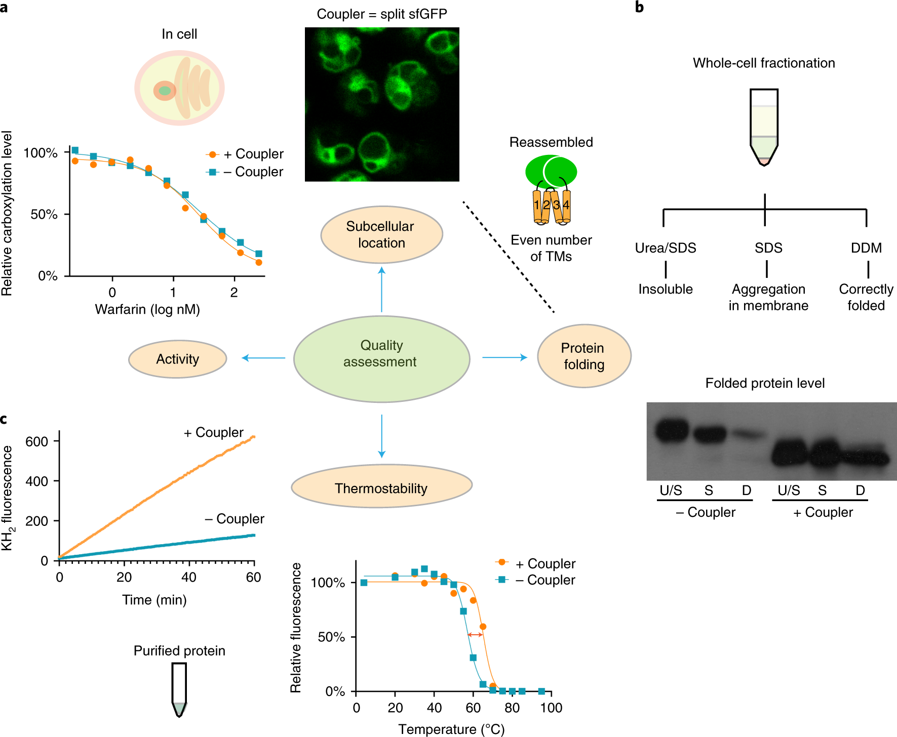 Fig. 2: Quality assessment of restrained membrane proteins.