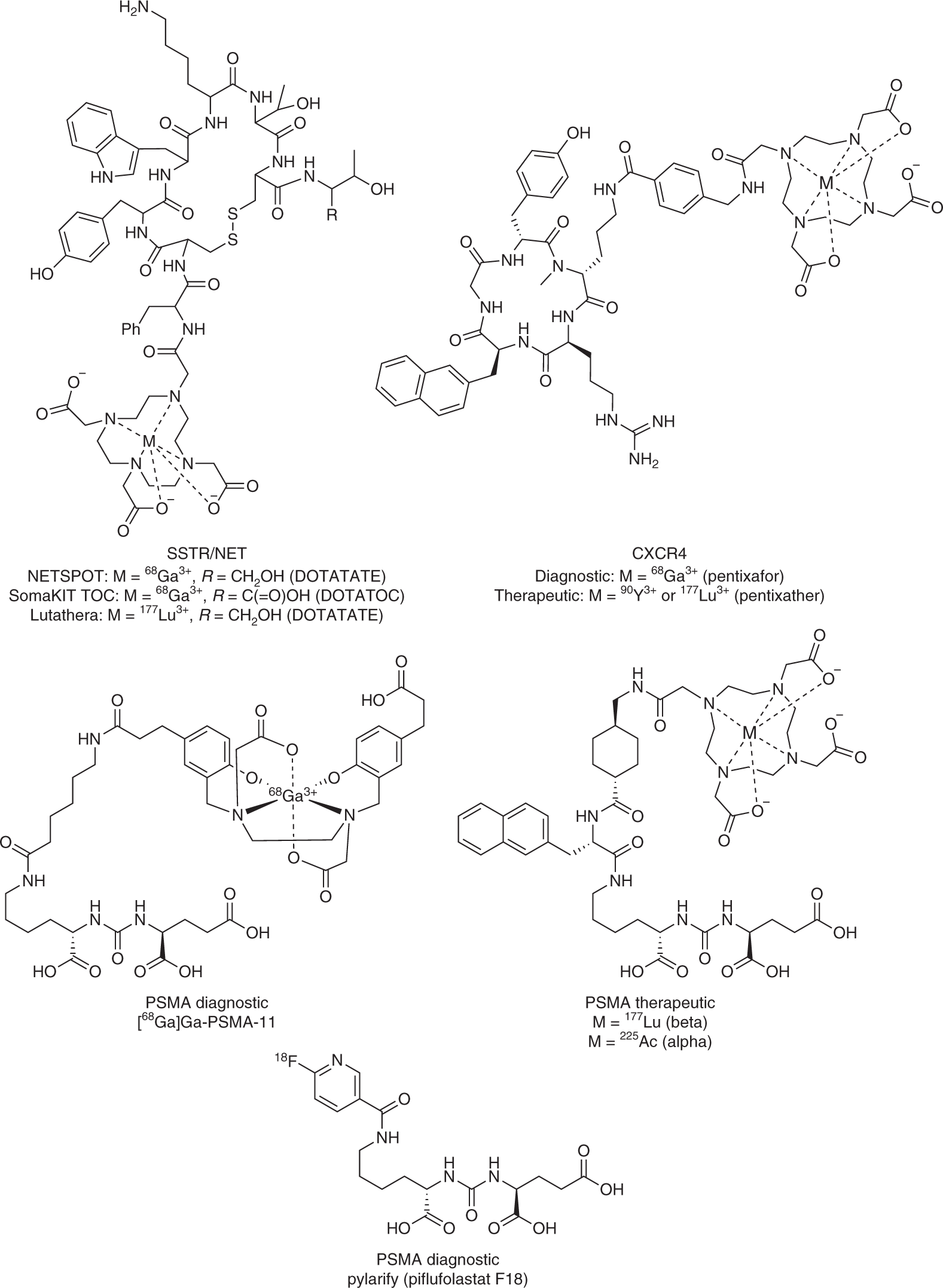 Fig. 1: Theranostic agents for nuclear medicine.