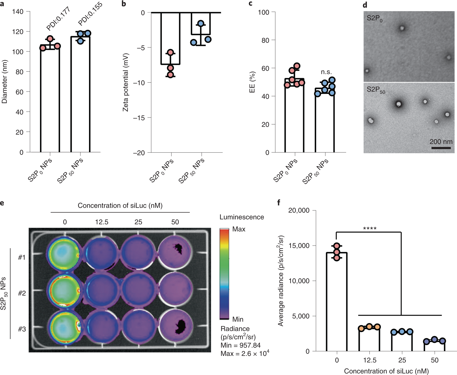 Fig. 4: Physicochemical and in vitro characterization of siRNA NPs.