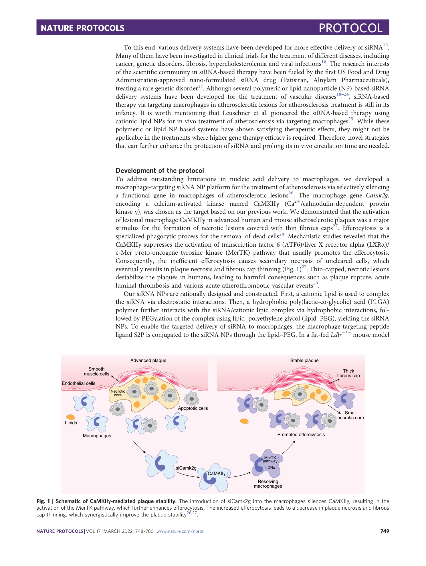 page-2