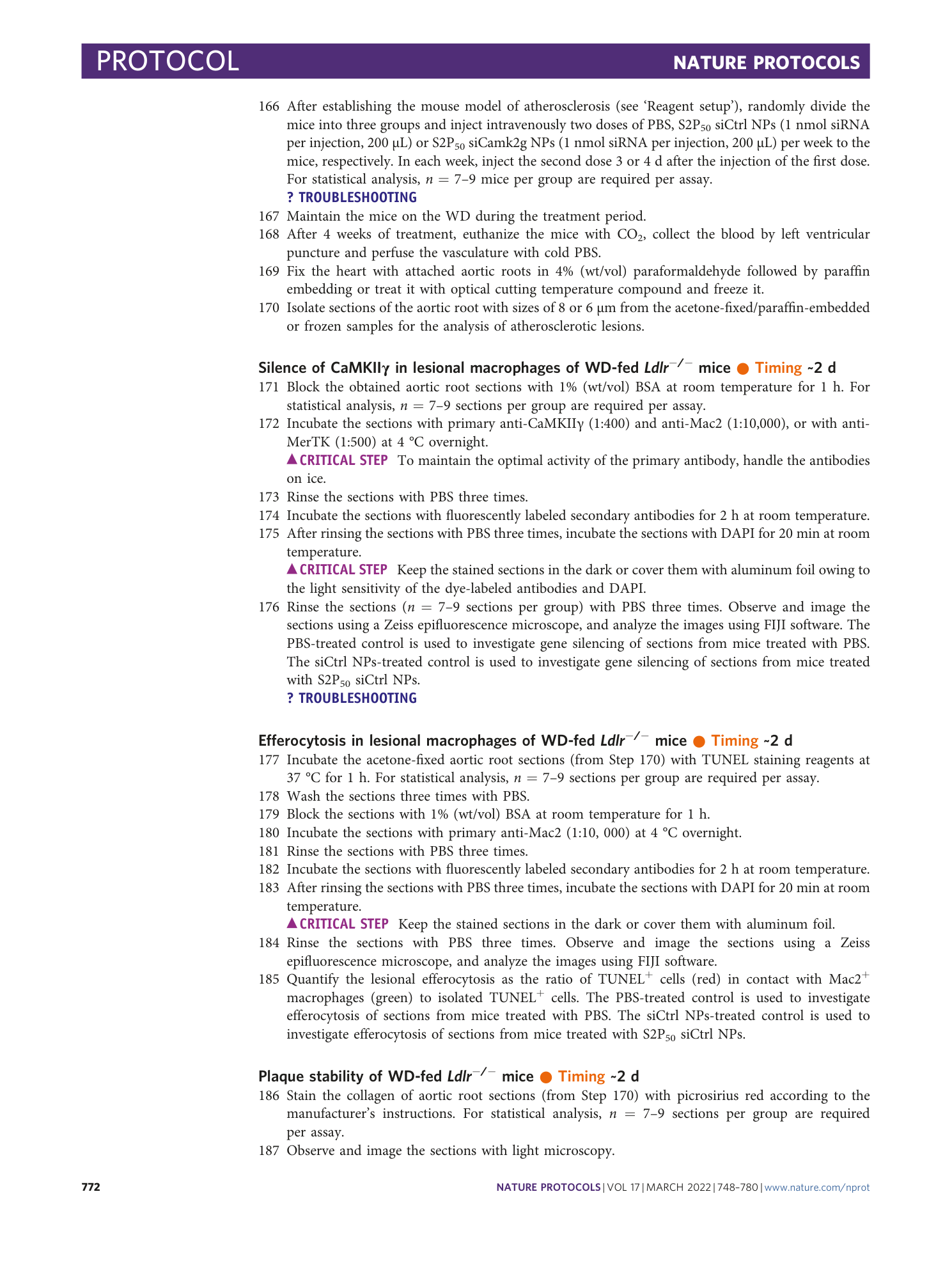 page-25