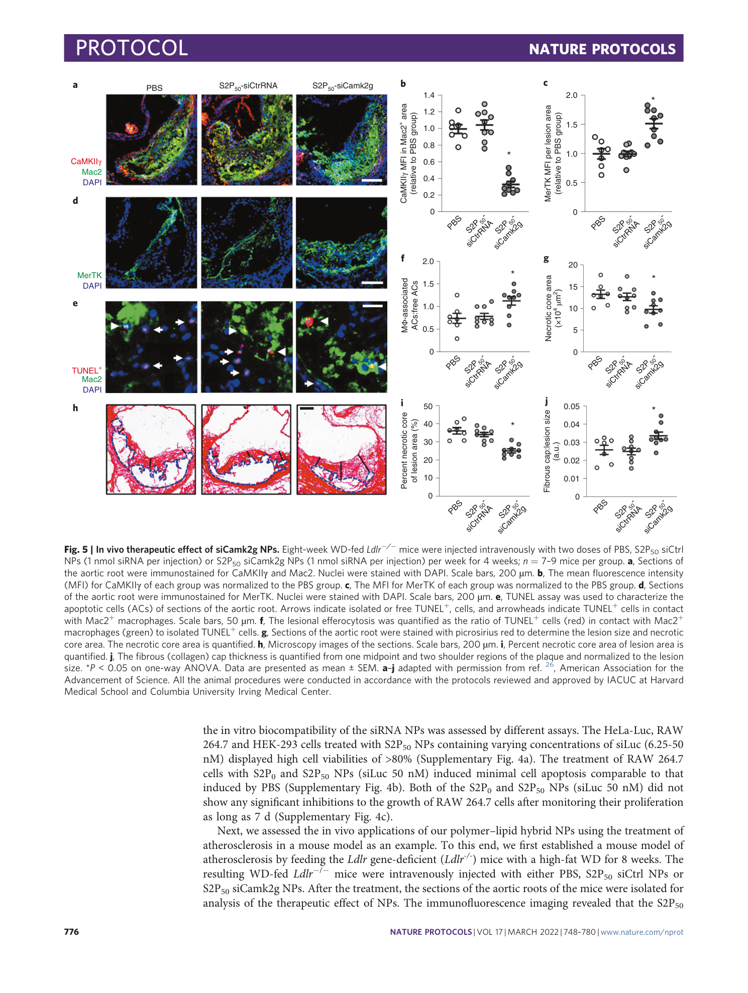page-29