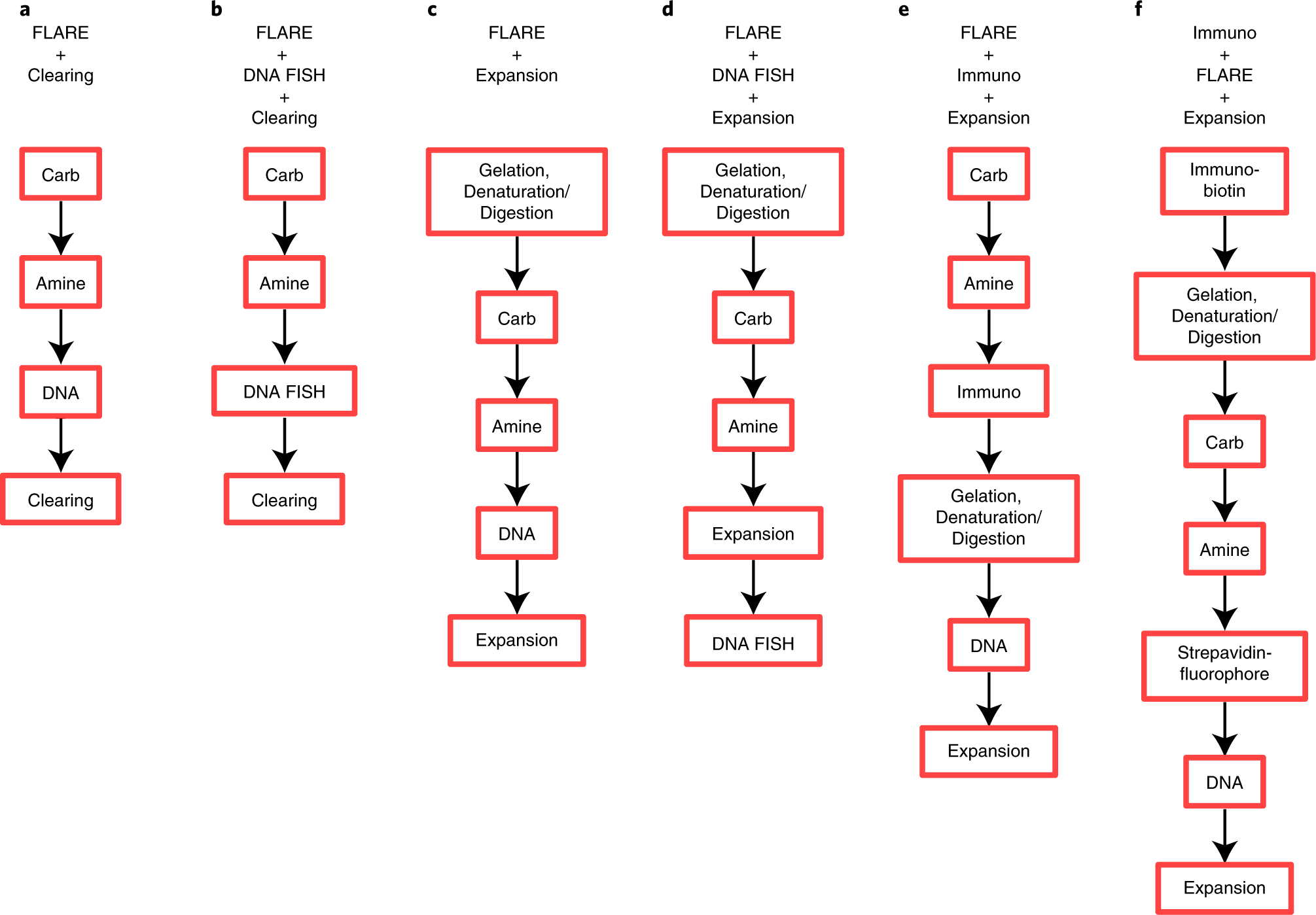 Fig. 2: A summary of suggested workflows when combining FLARE with DNA FISH and immunofluorescence for clearing or expansion.