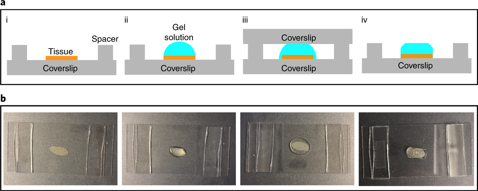 Fig. 6: Gelation chamber setup.