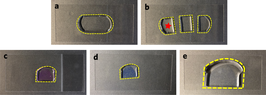 Fig. 7: A step-by-step illustration of the FLARE procedure for the expanded sample.