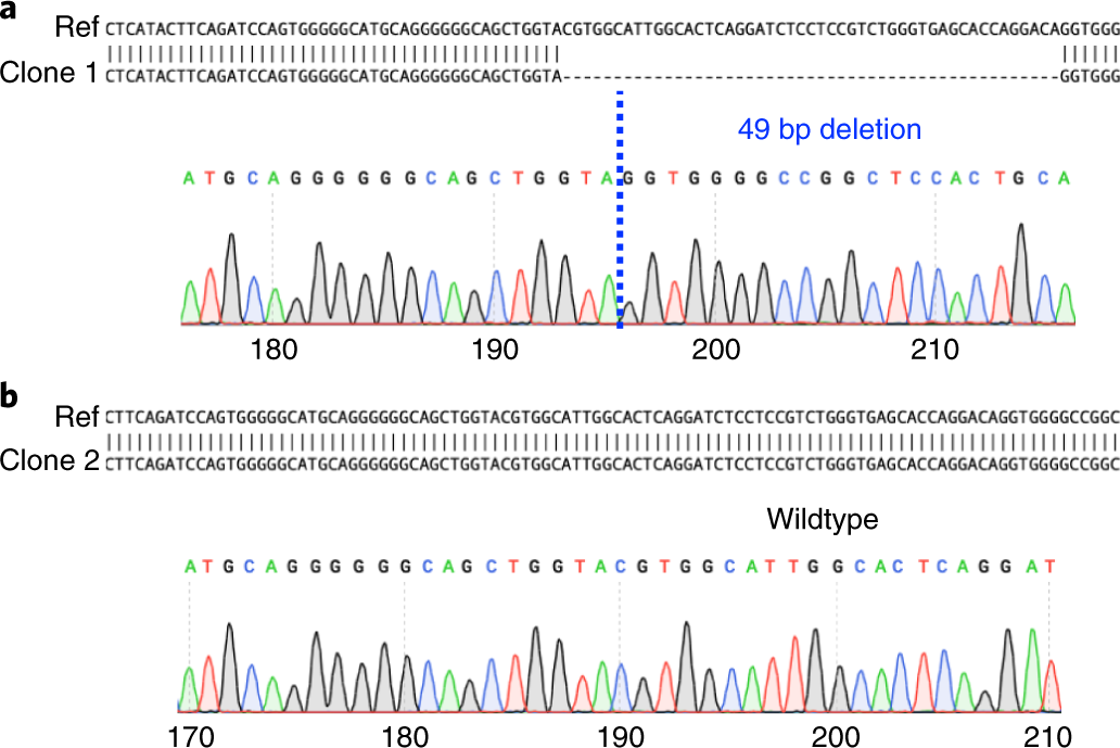Fig. 5: The comparison between KO and wild-type sequencing results.