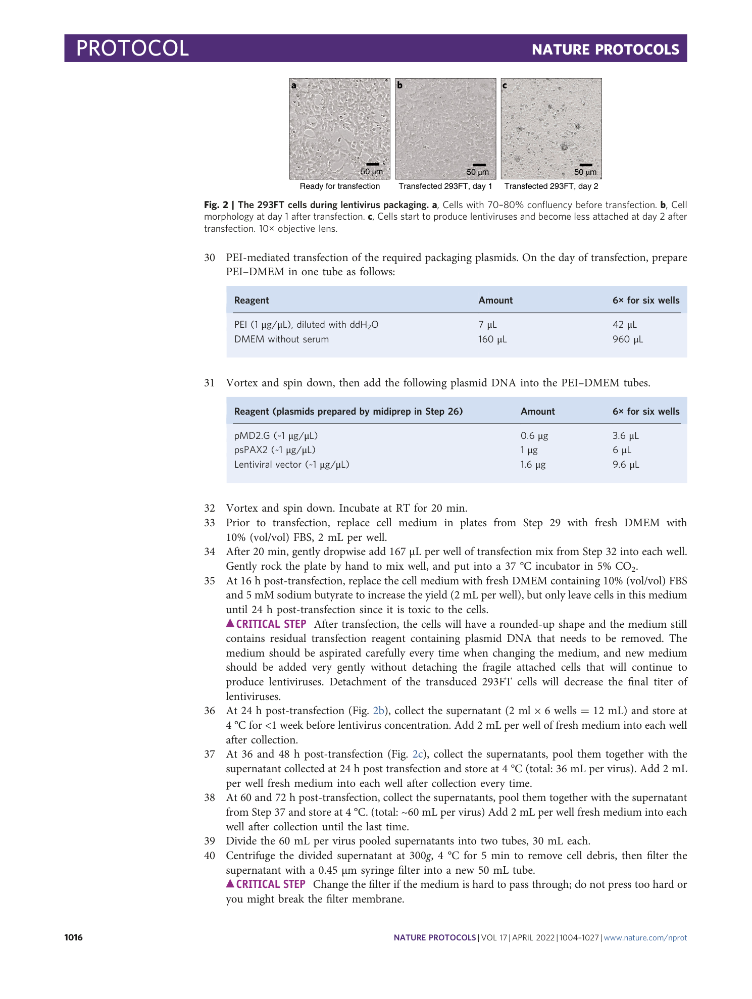 page-13