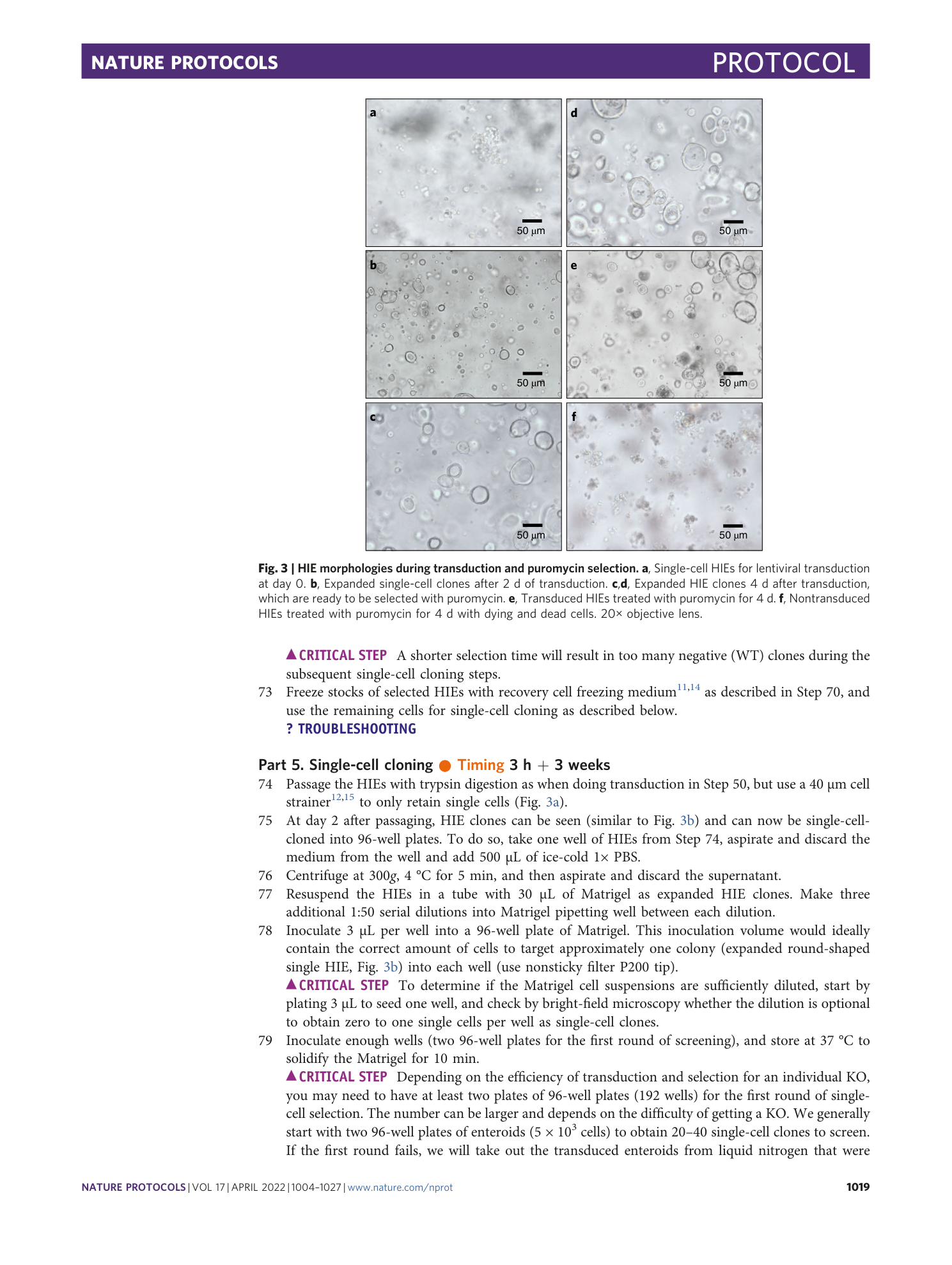 page-16