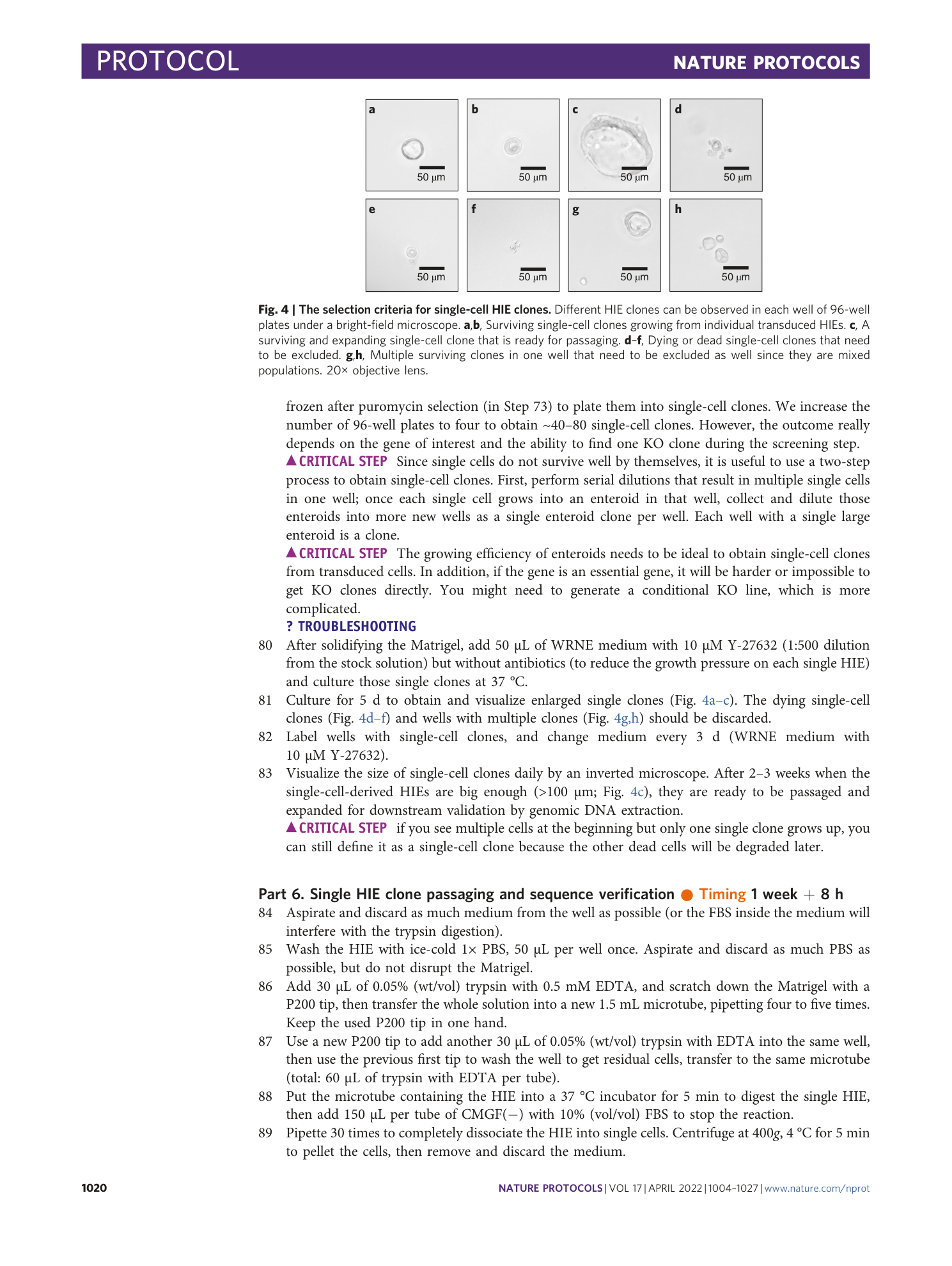 page-17