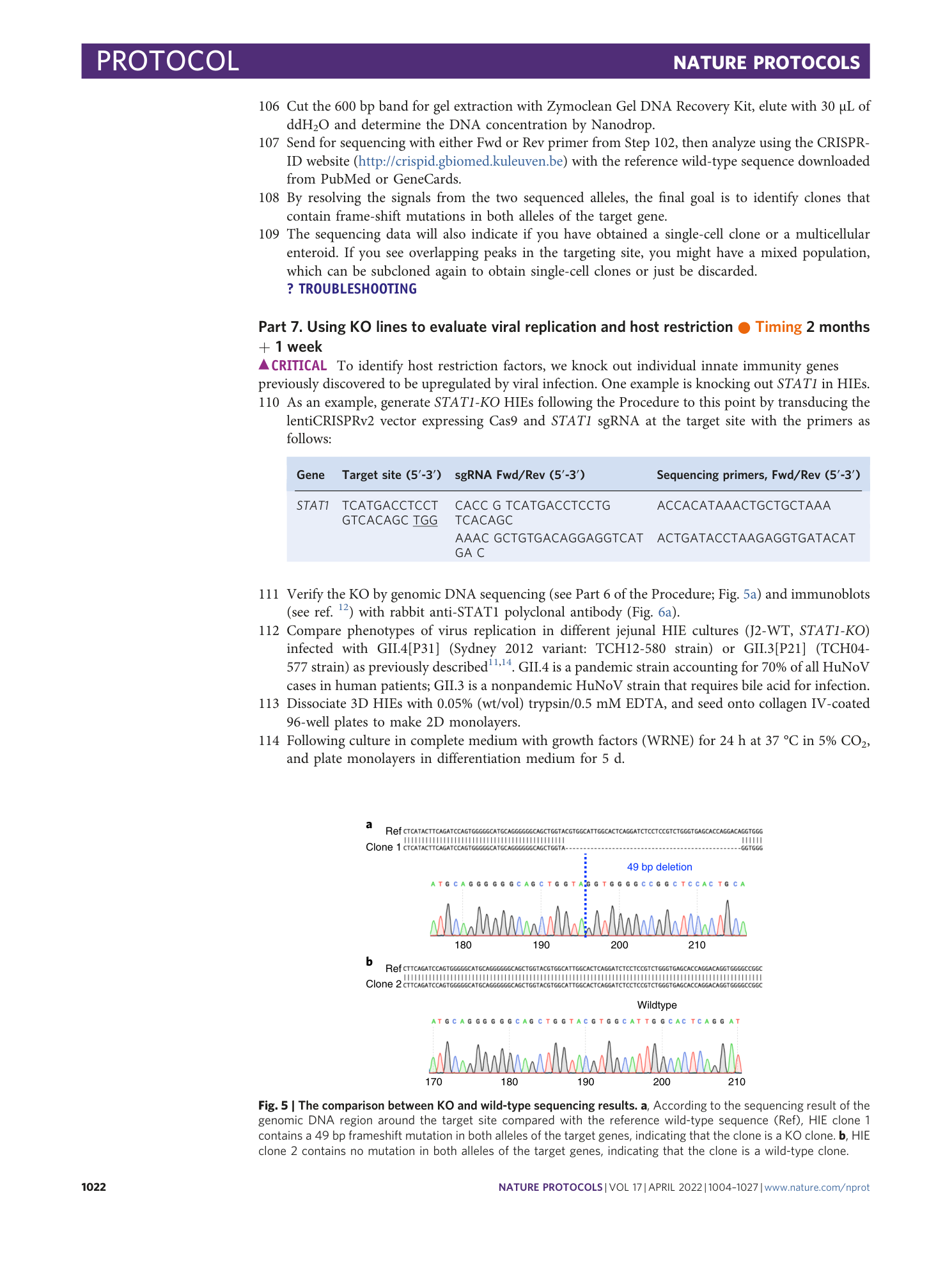 page-19