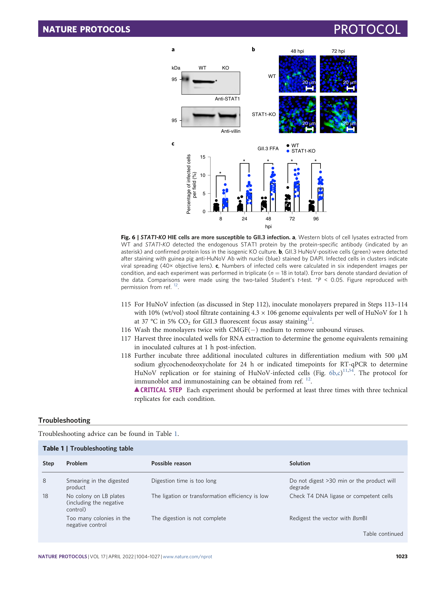 page-20